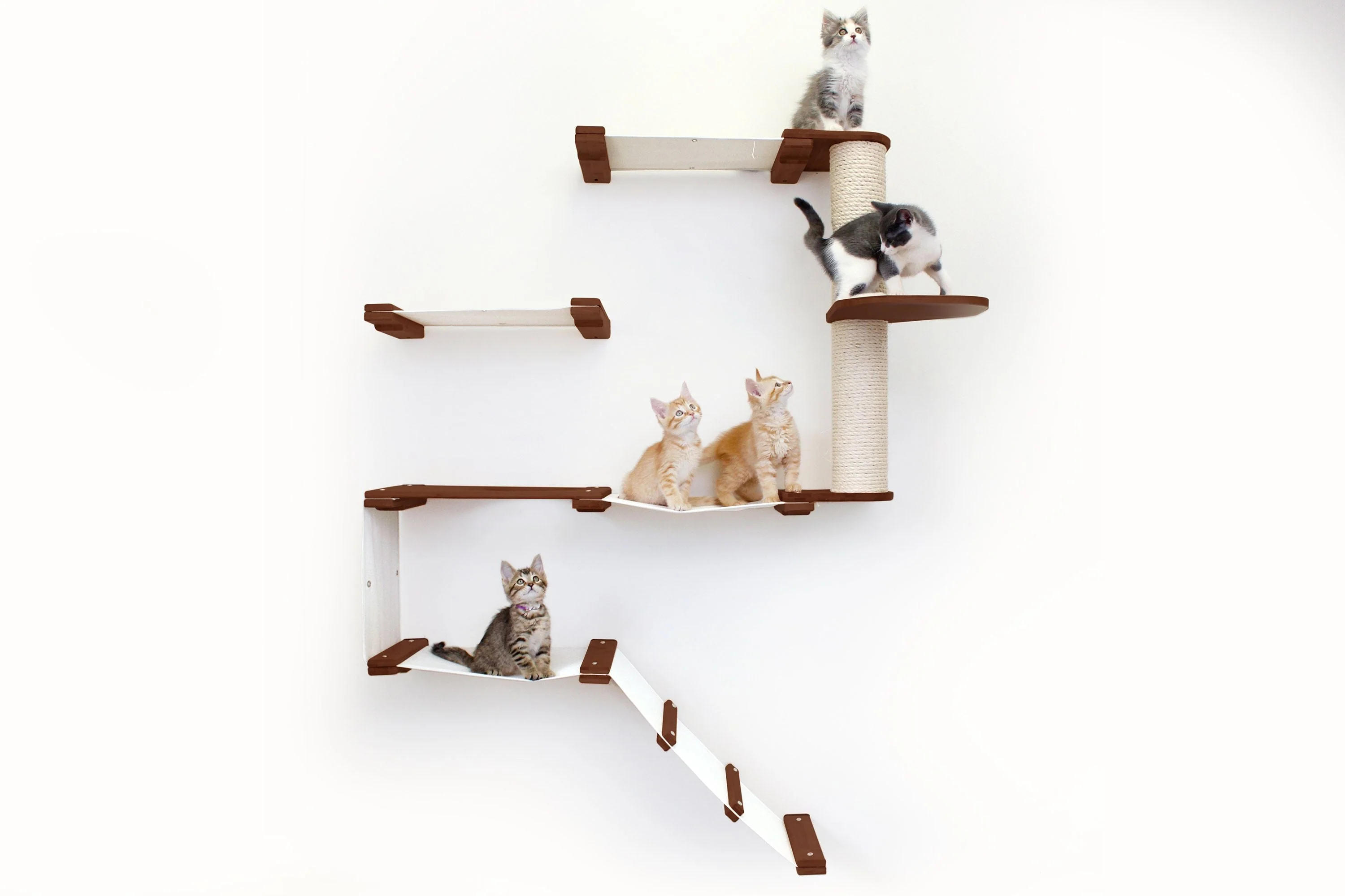 The Deluxe Cat Fort - Modern Cat Condo - Image 24