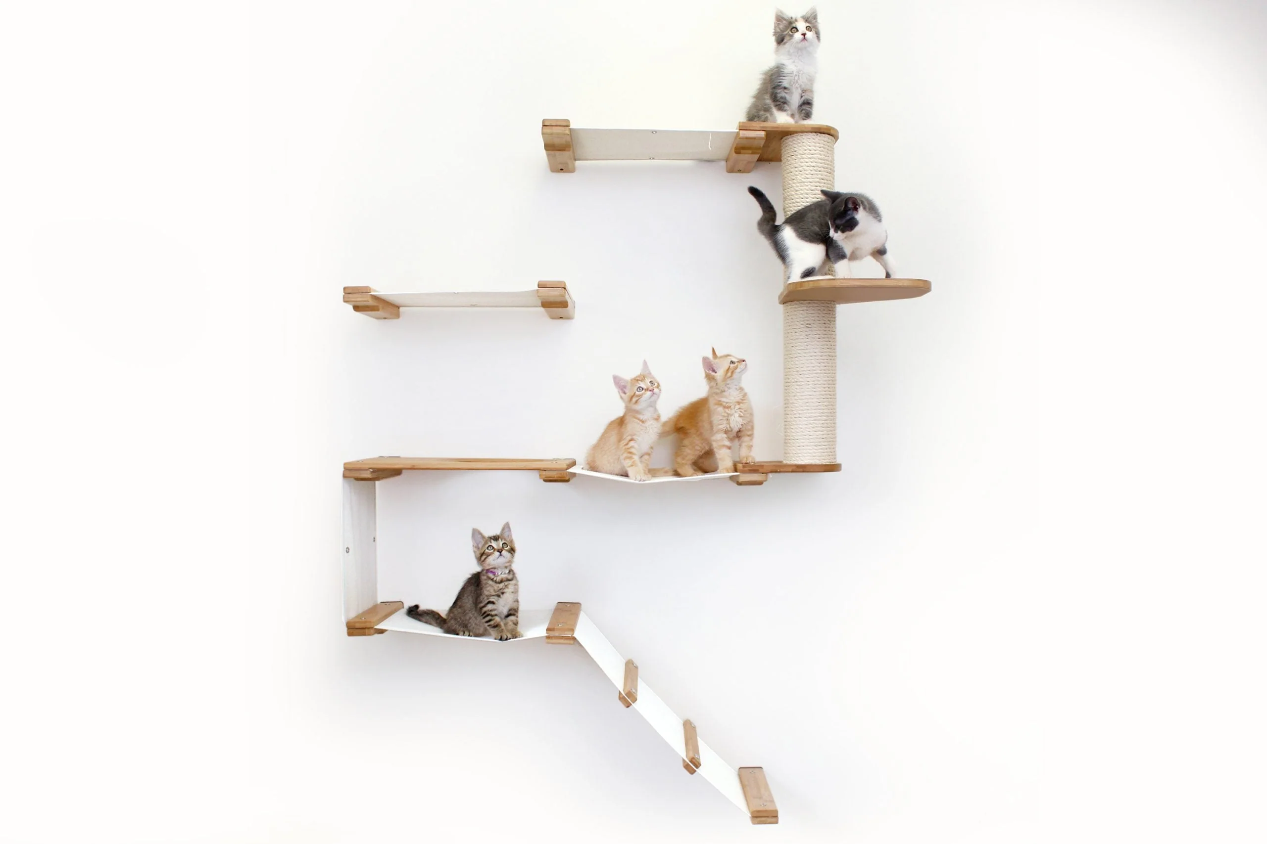 The Deluxe Cat Fort - Modern Cat Condo - Image 4