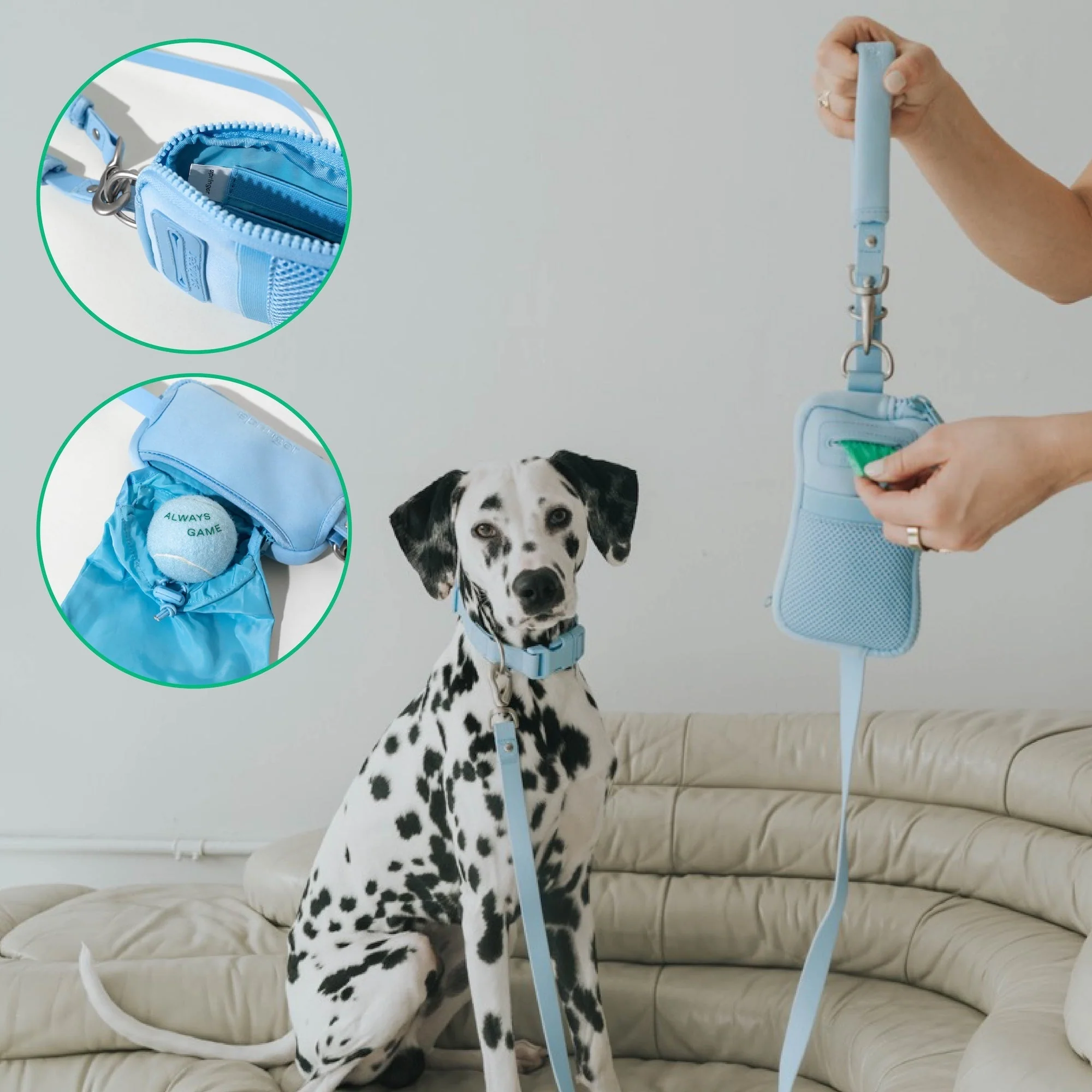 The Dog Walk Bag with Leash - Image 10