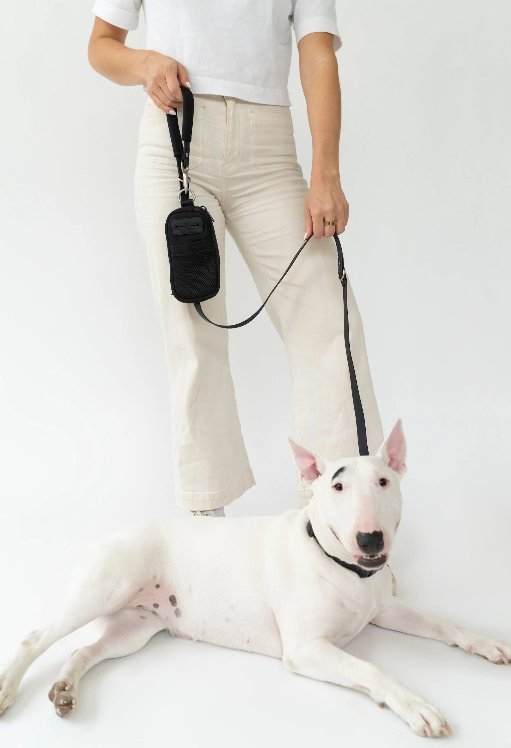The Dog Walk Bag with Leash - Image 12