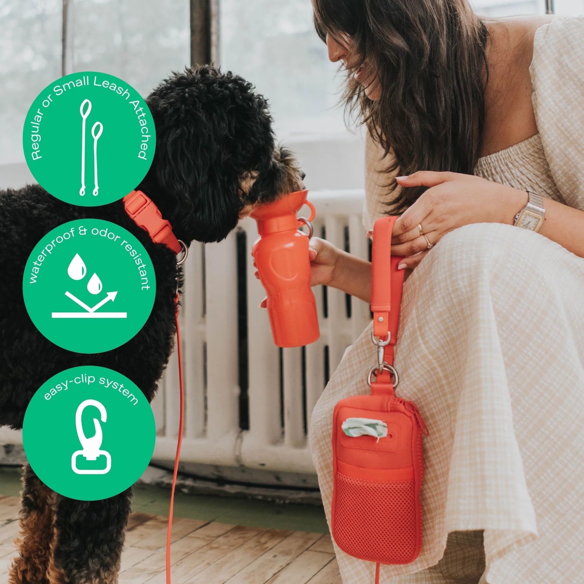 The Dog Walk Bag with Leash - Image 5
