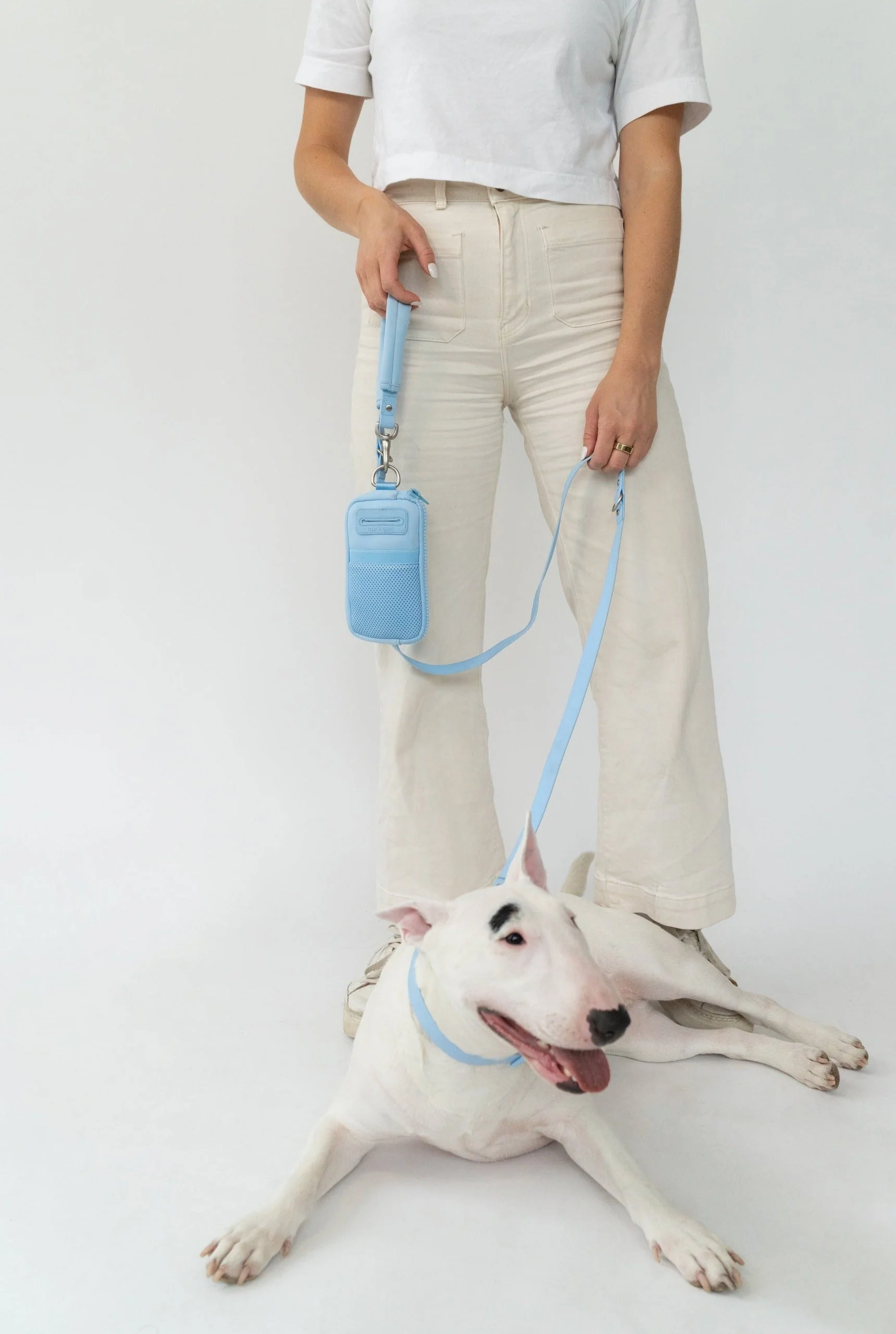 The Dog Walk Bag with Leash - Image 8