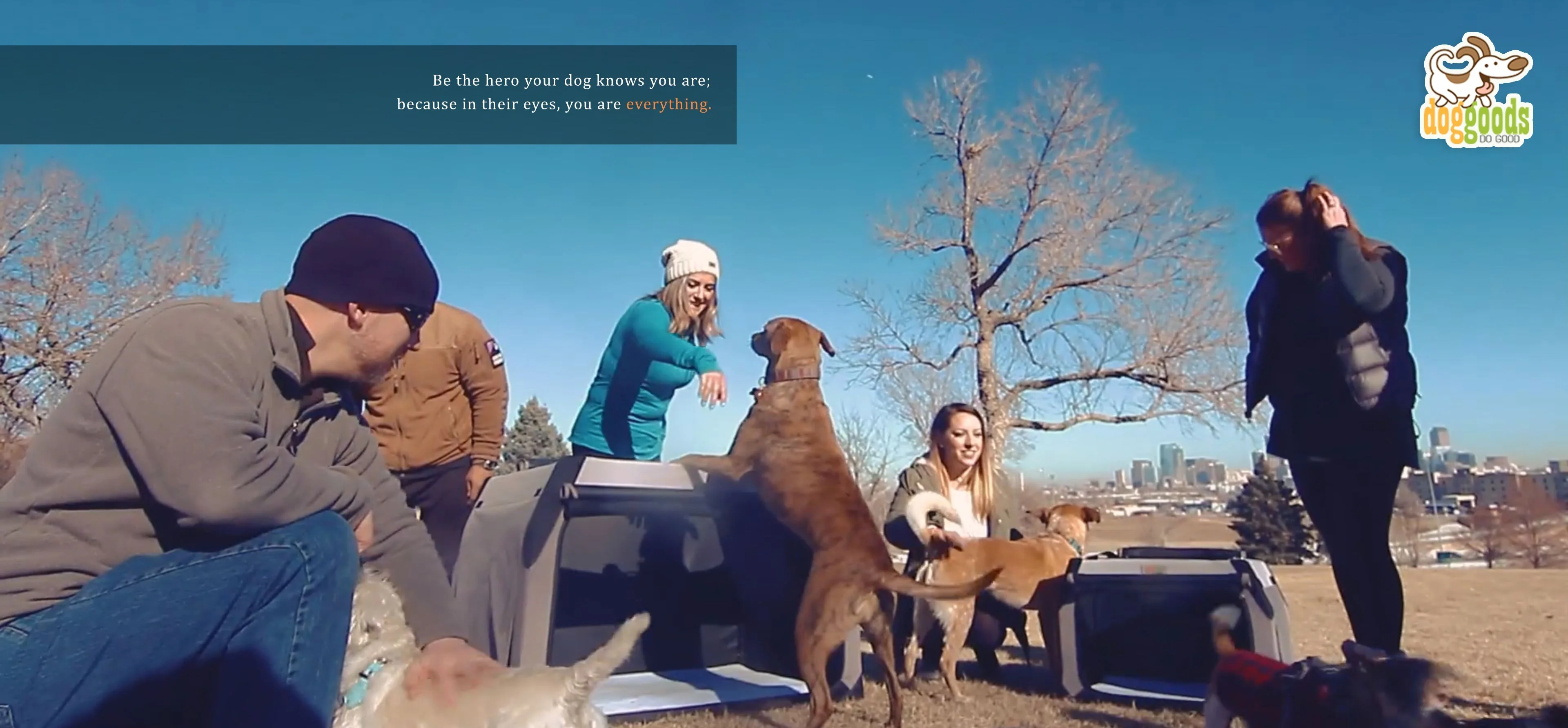 The Foldable Travel Dog Crate By DogGoods ™ - Image 19
