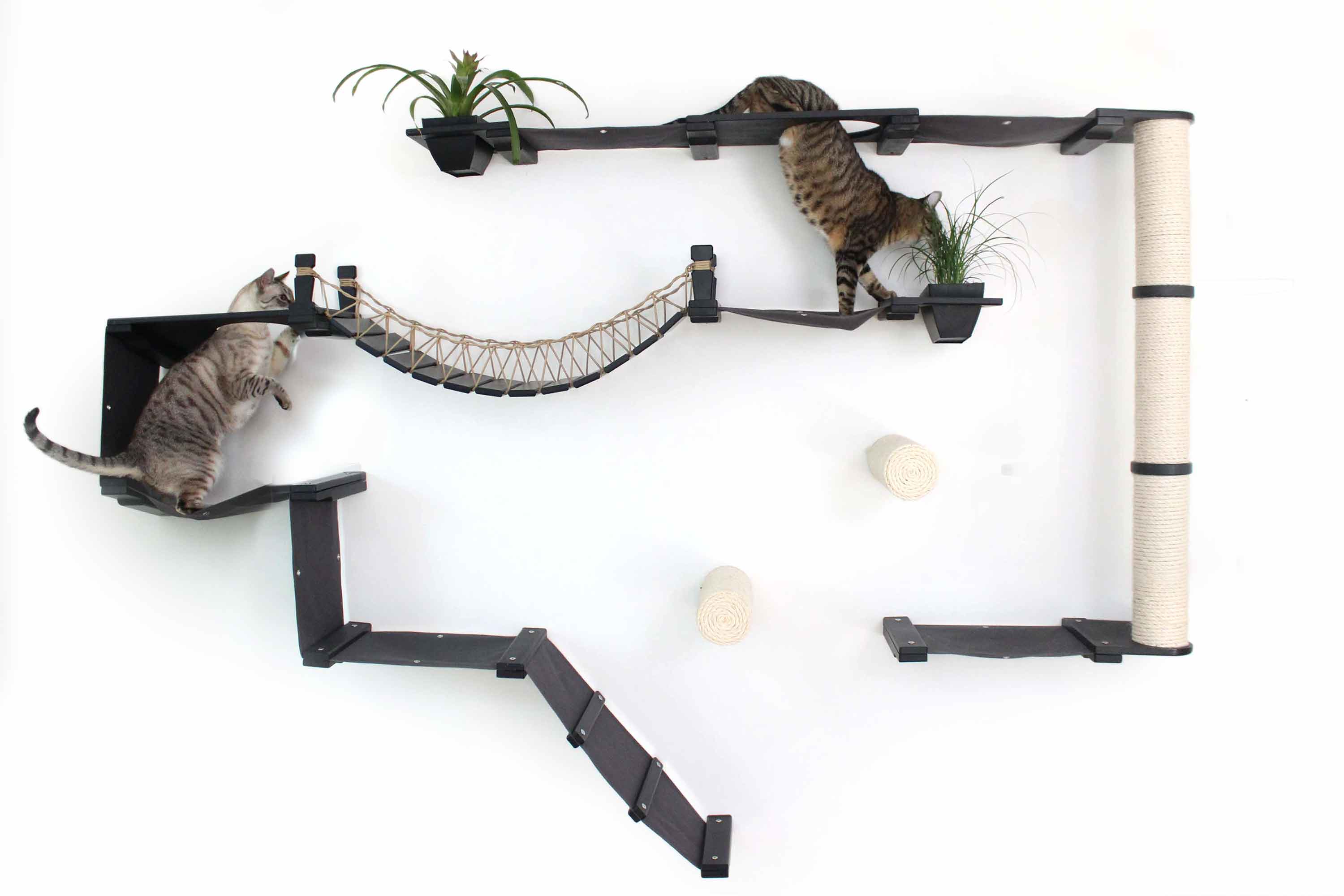 The Juggernaut - Indoor Cat Playground for Wall by Catastrophic Creations - Image 15