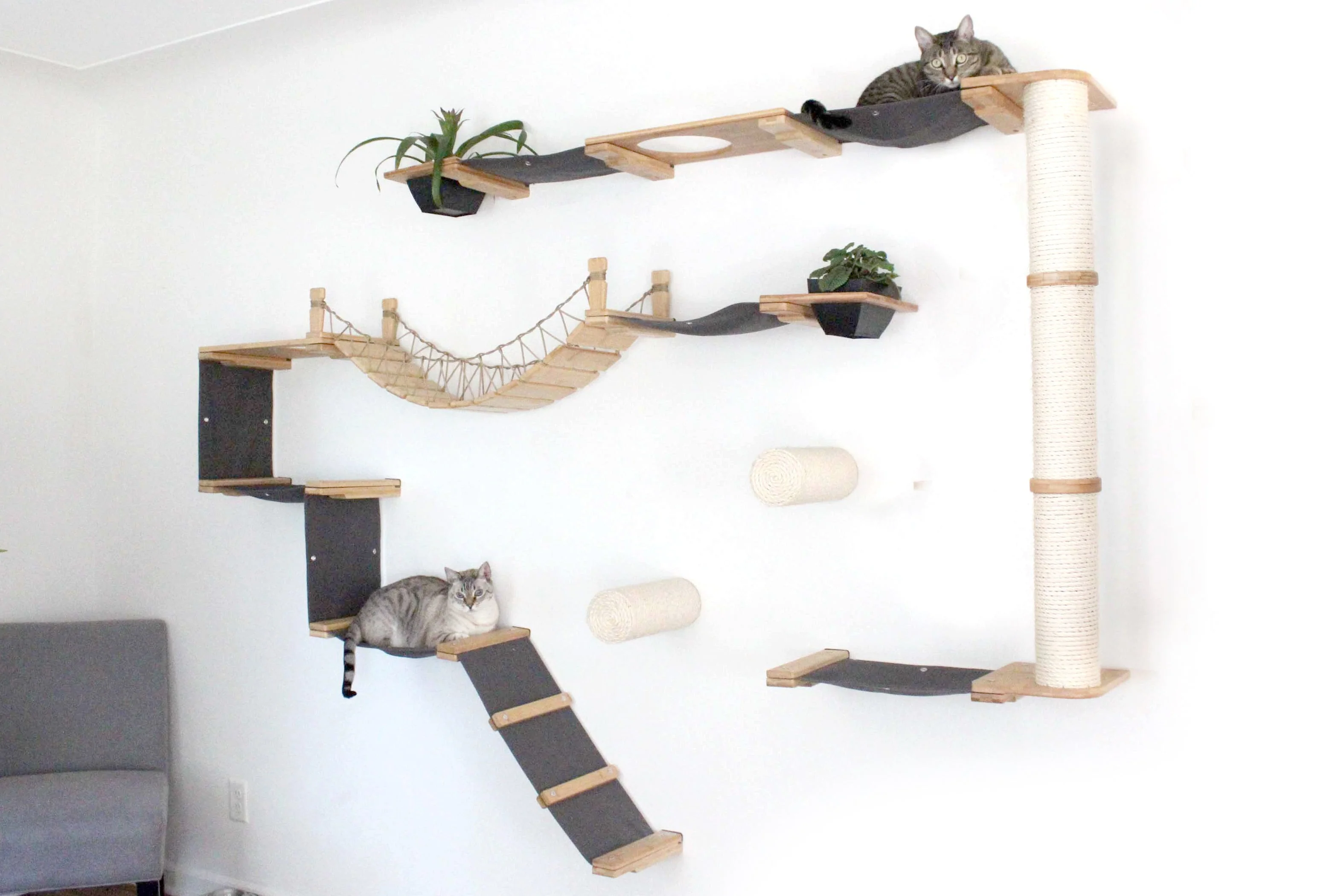 The Juggernaut - Indoor Cat Playground for Wall by Catastrophic Creations - Image 17