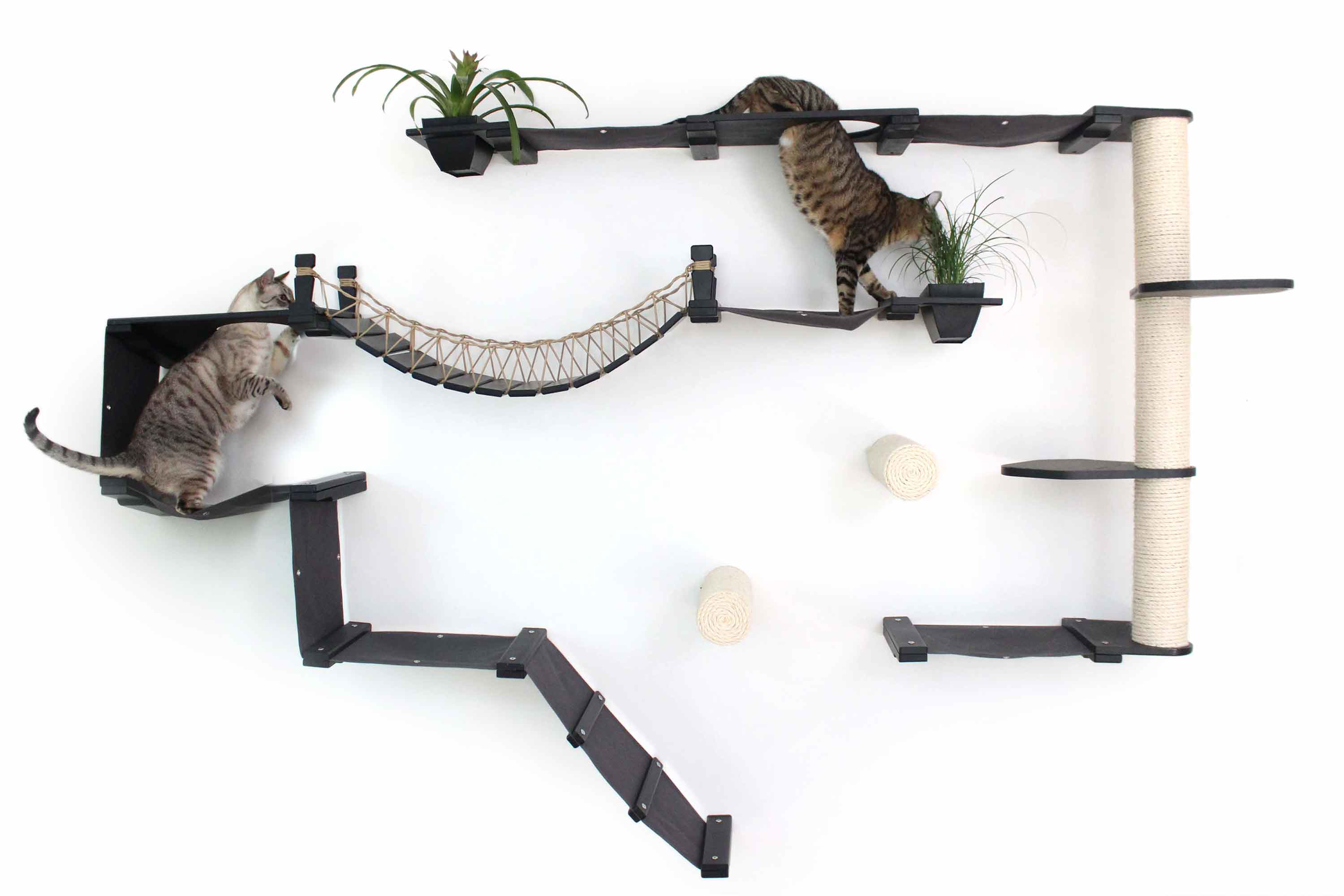 The Juggernaut - Indoor Cat Playground for Wall by Catastrophic Creations - Image 18