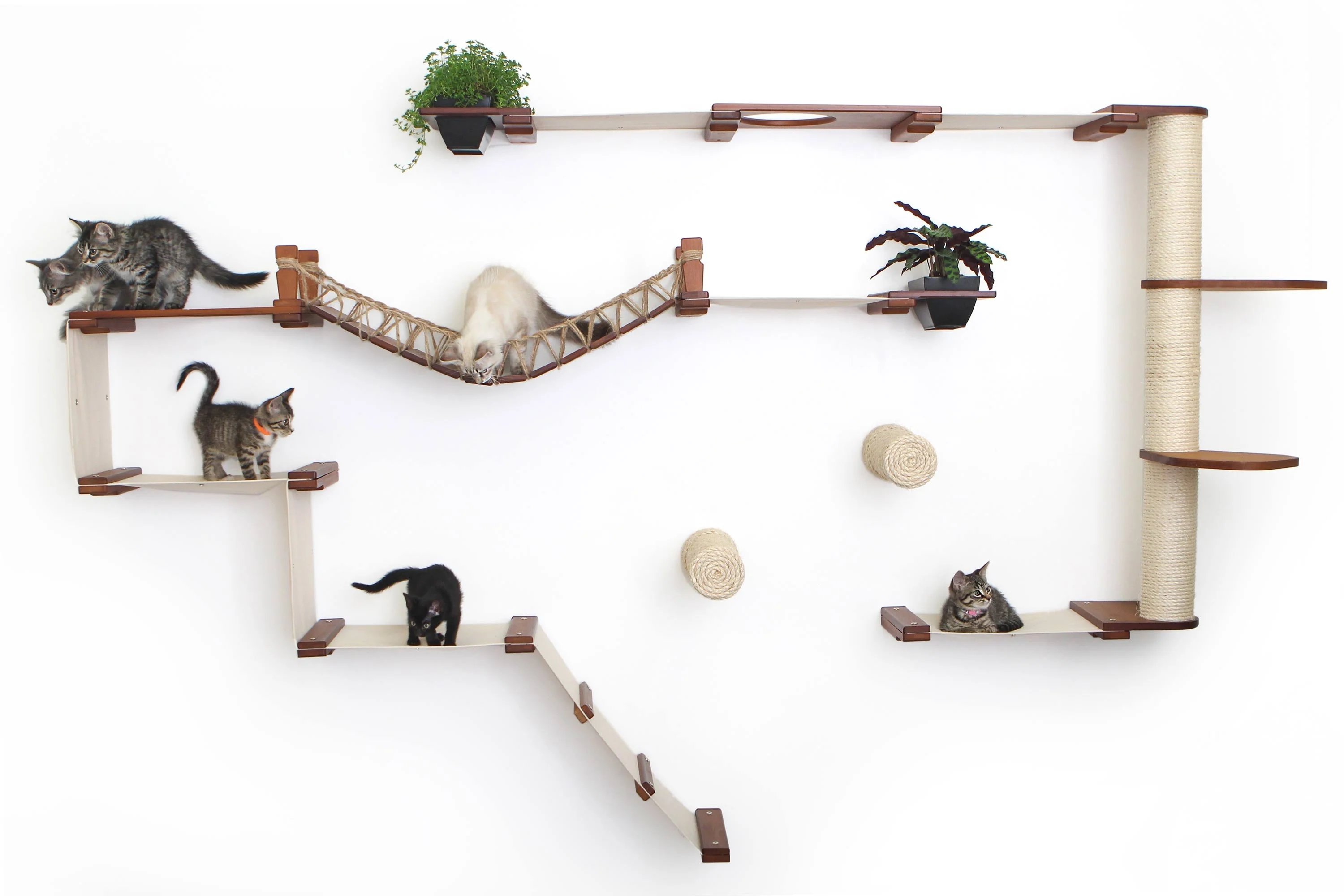 The Juggernaut - Indoor Cat Playground for Wall by Catastrophic Creations - Image 19