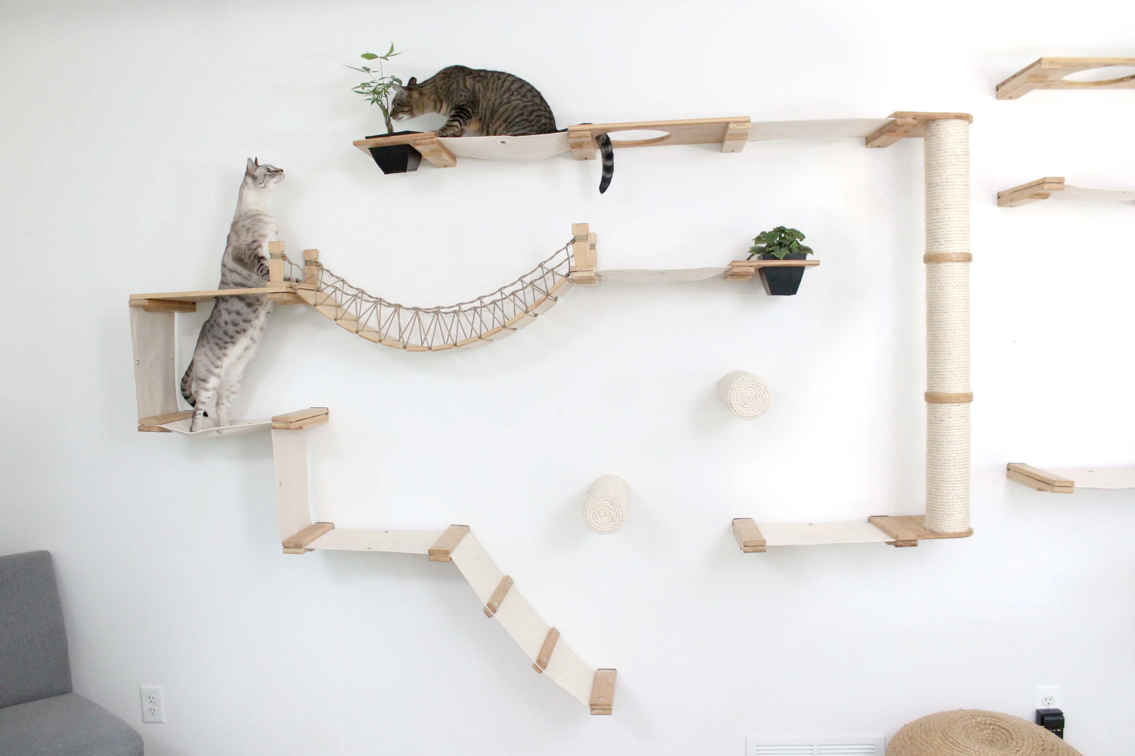 The Juggernaut - Indoor Cat Playground for Wall by Catastrophic Creations - Image 20