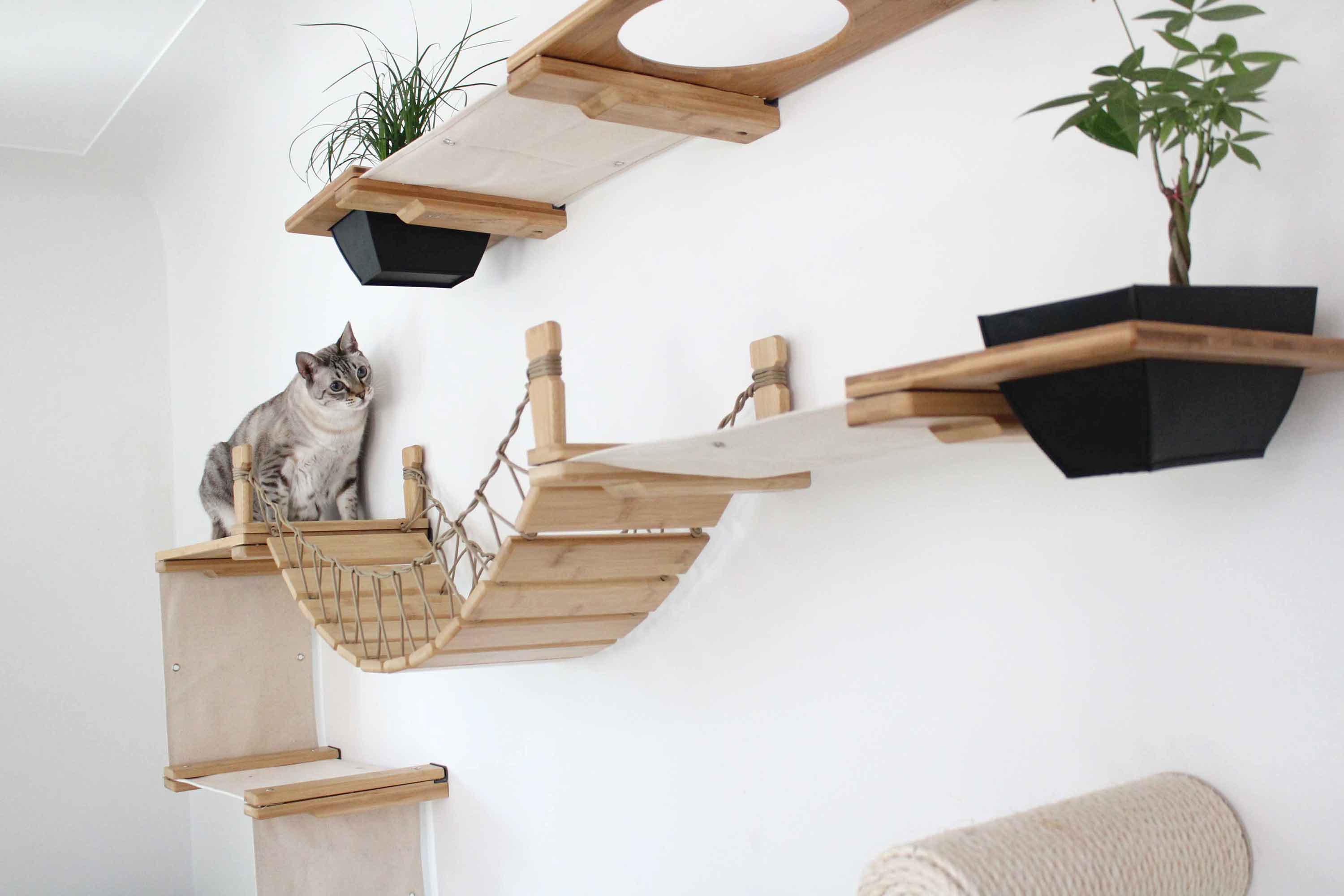 The Juggernaut - Indoor Cat Playground for Wall by Catastrophic Creations - Image 5