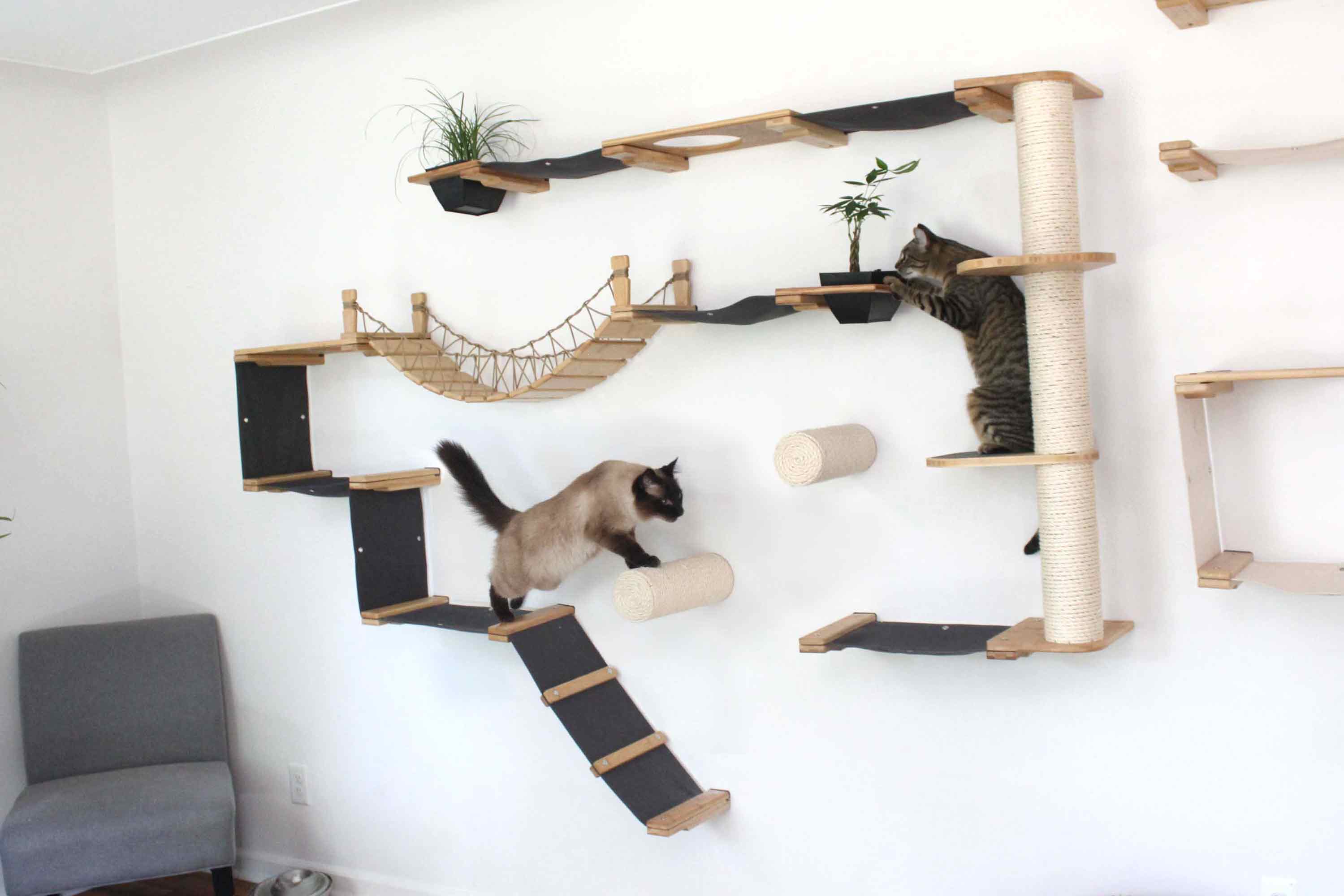 The Juggernaut - Indoor Cat Playground for Wall by Catastrophic Creations - Image 7