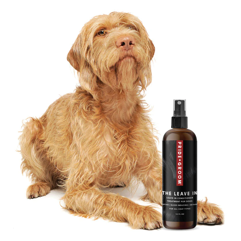 THE LEAVE IN Dog Detangling Leave in Spray — Detangling, Moisturizing & Conditioning Leave In Spray for Dogs - Image 3