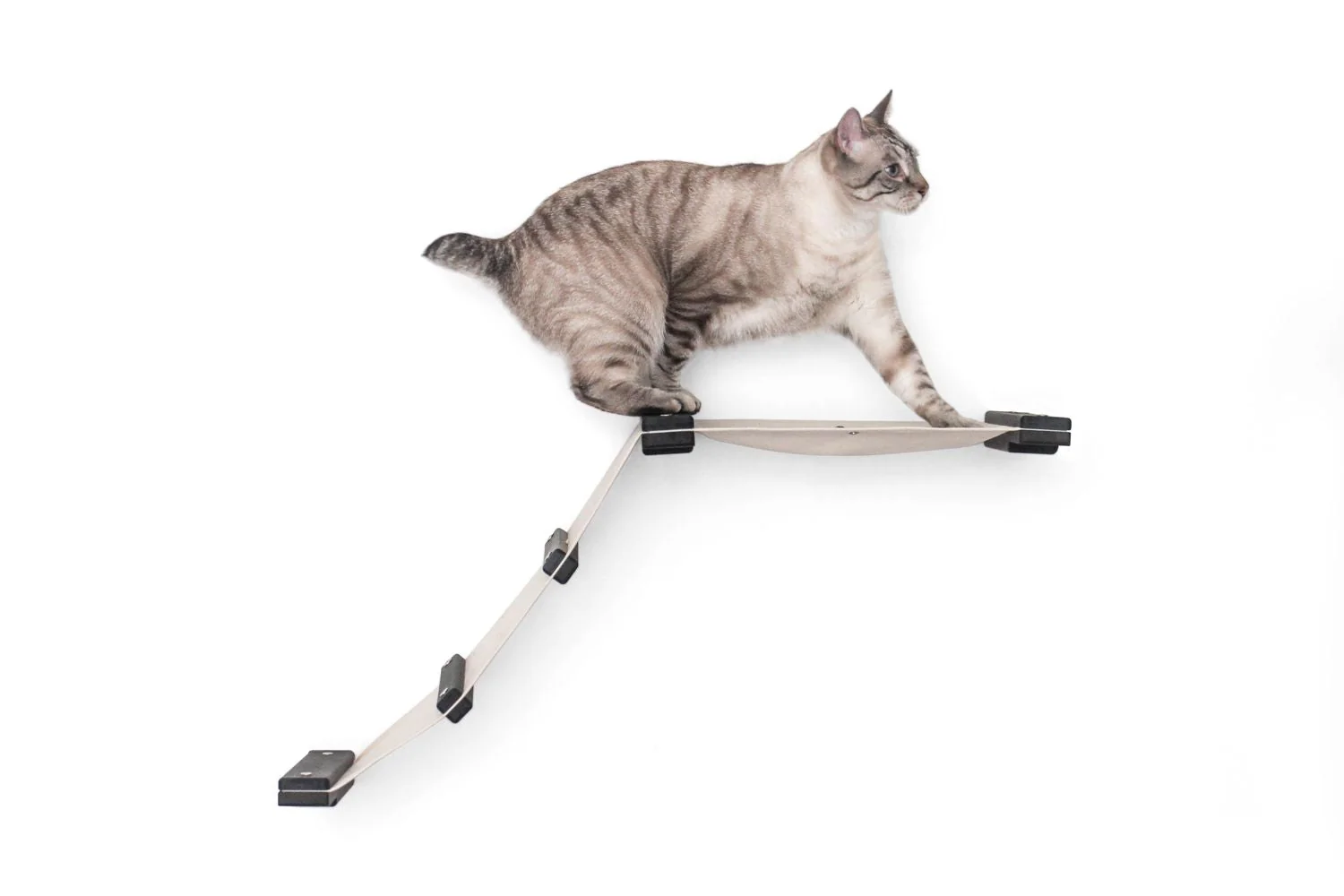 The Lift - Cat Hammock Bed by Catastrophic Creations - Image 10