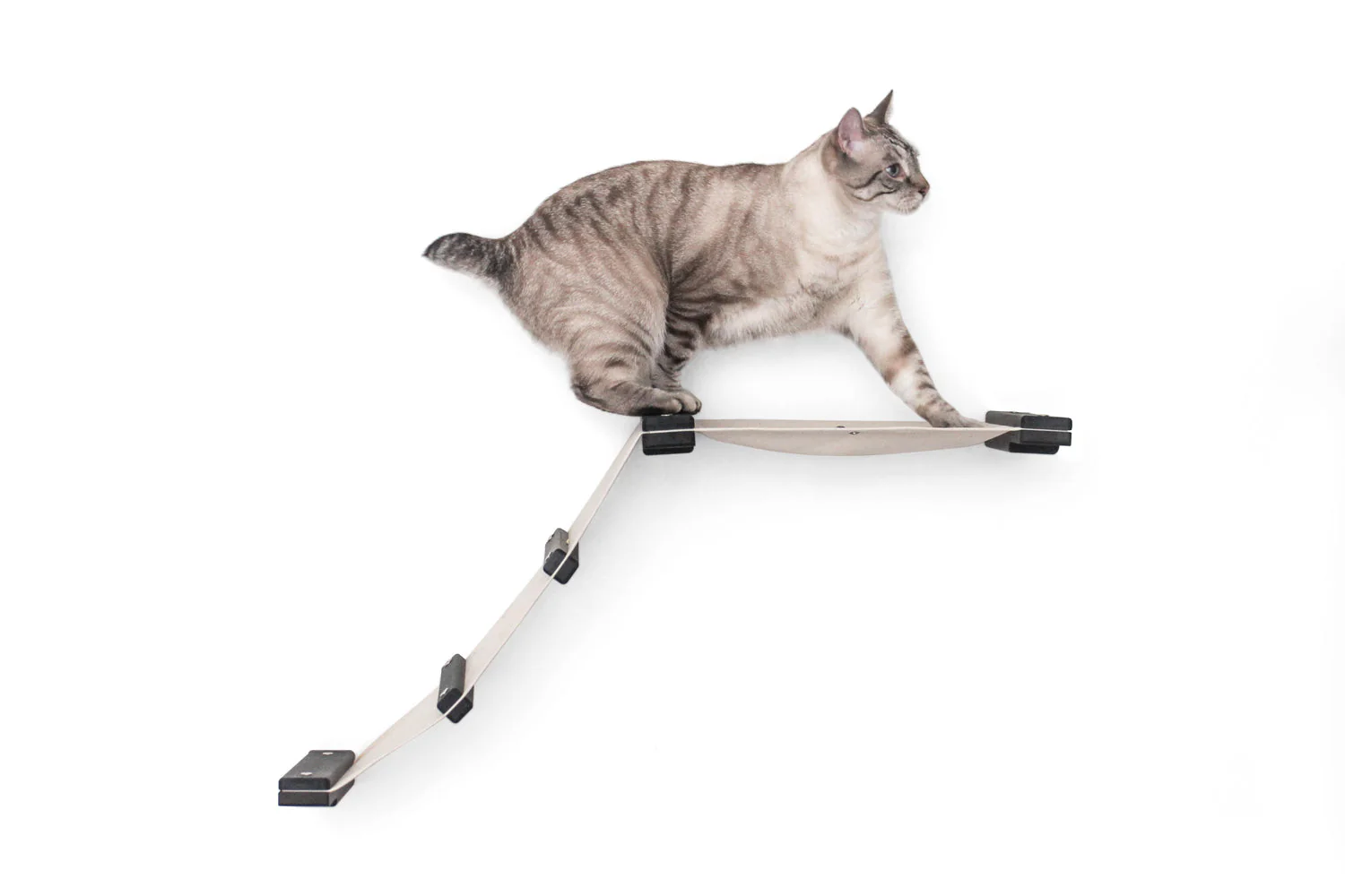 The Lift - Cat Hammock Bed by Catastrophic Creations - Image 3