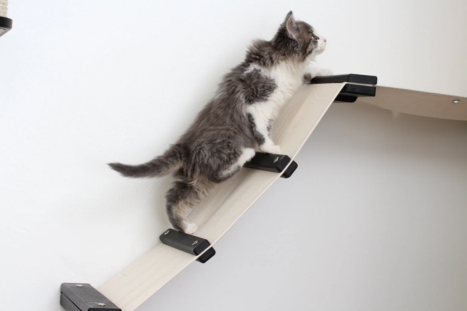 The Lift - Cat Hammock Bed by Catastrophic Creations - Image 4