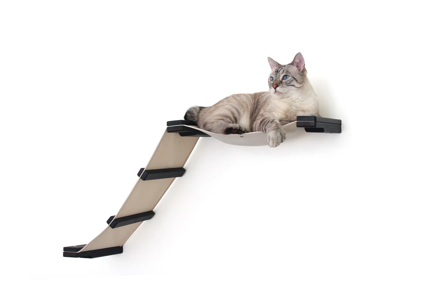 The Lift - Cat Hammock Bed by Catastrophic Creations - Image 8