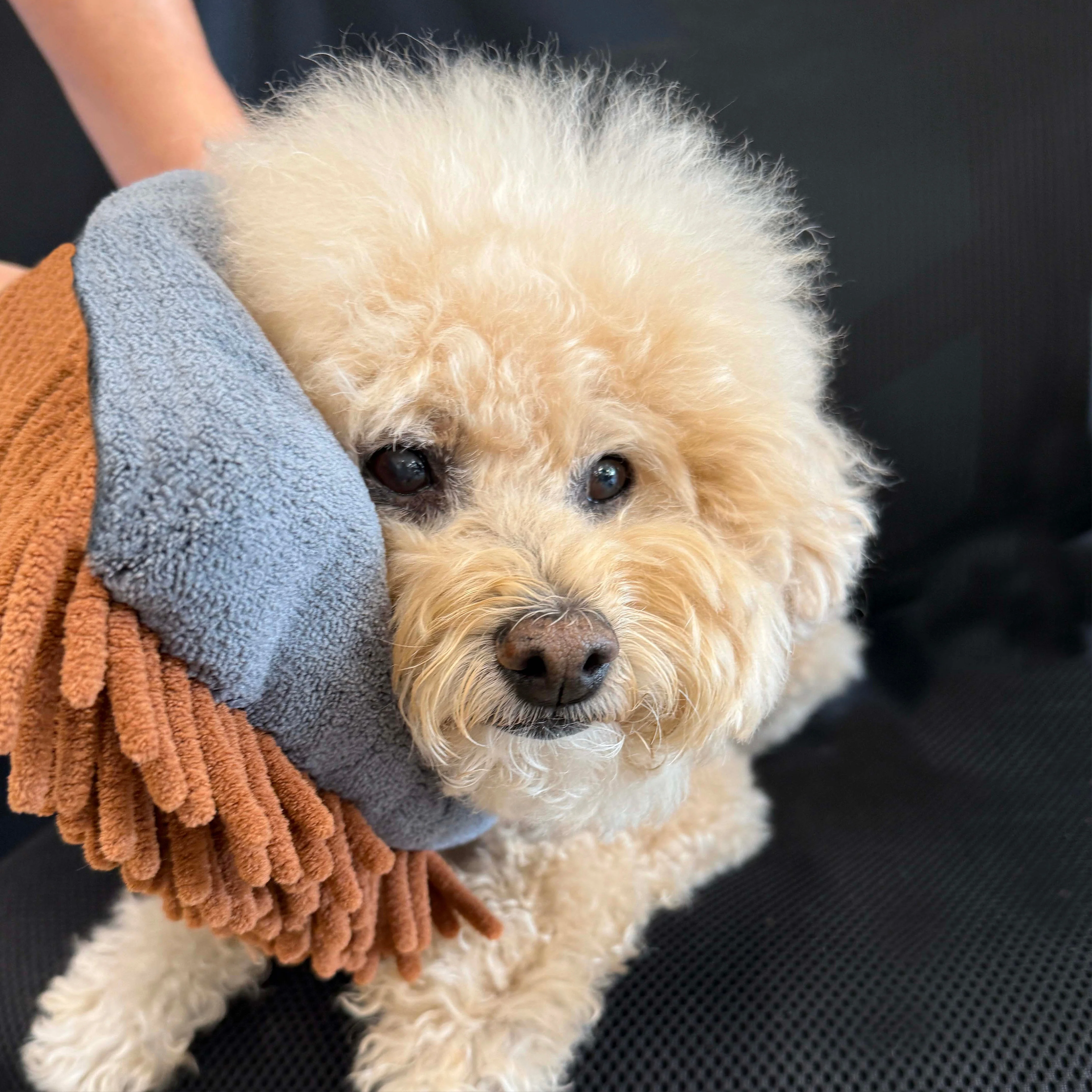 THE MAGIC MITT Dual-Sided Microfiber Grooming Mitt for Dogs & Cats — Use with Waterless Shampoo - Image 4