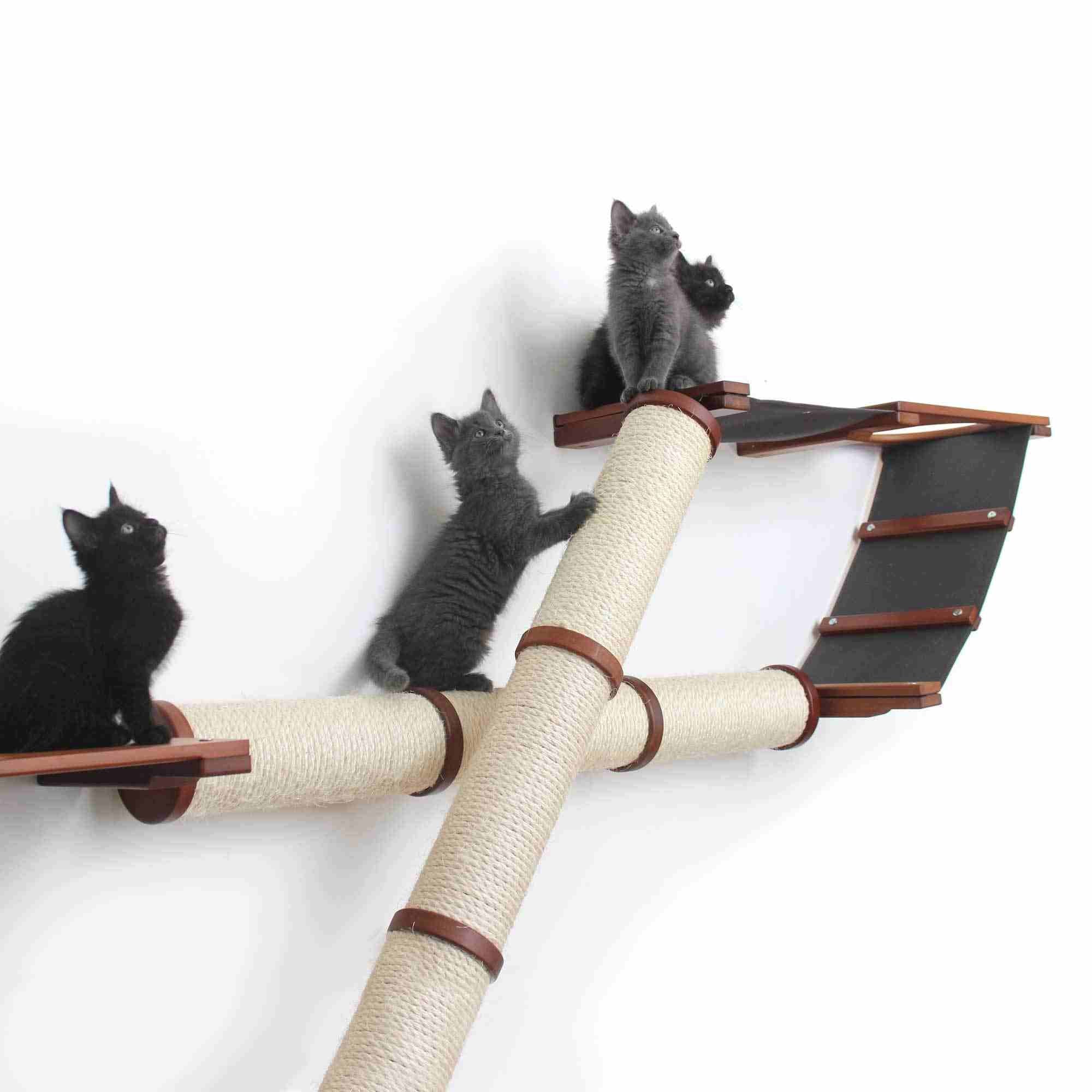 The Plateau - Horizontal Cat Scratcher Bed Set - Image 5