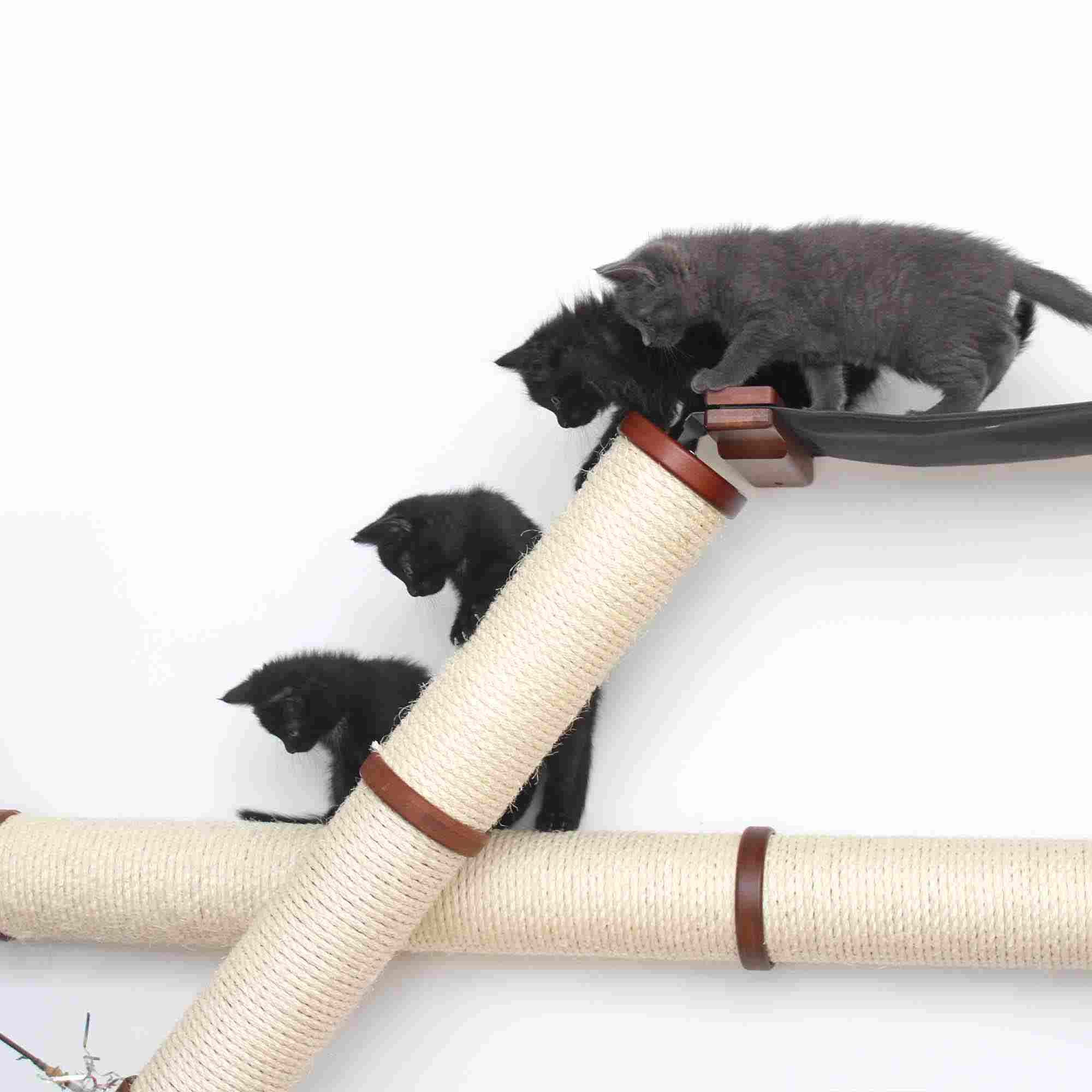 The Plateau - Horizontal Cat Scratcher Bed Set - Image 6