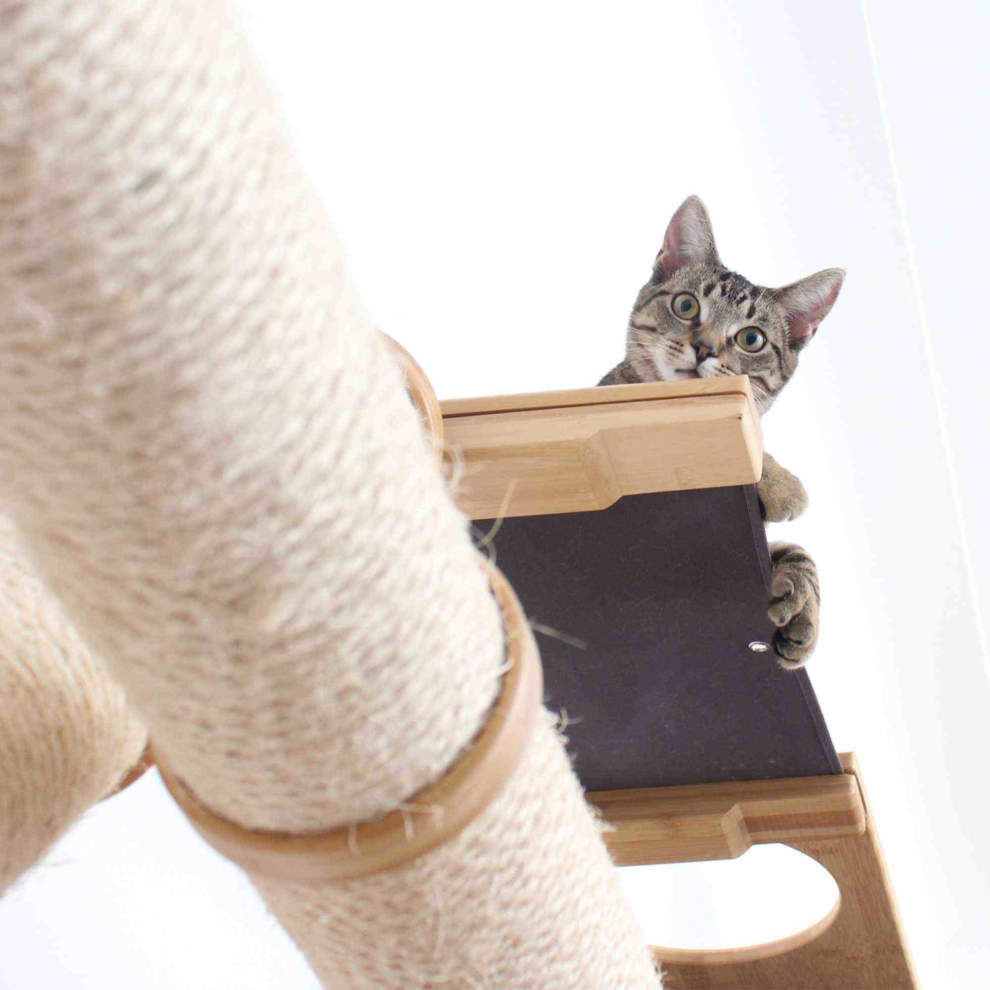 The Plateau - Horizontal Cat Scratcher Bed Set - Image 7