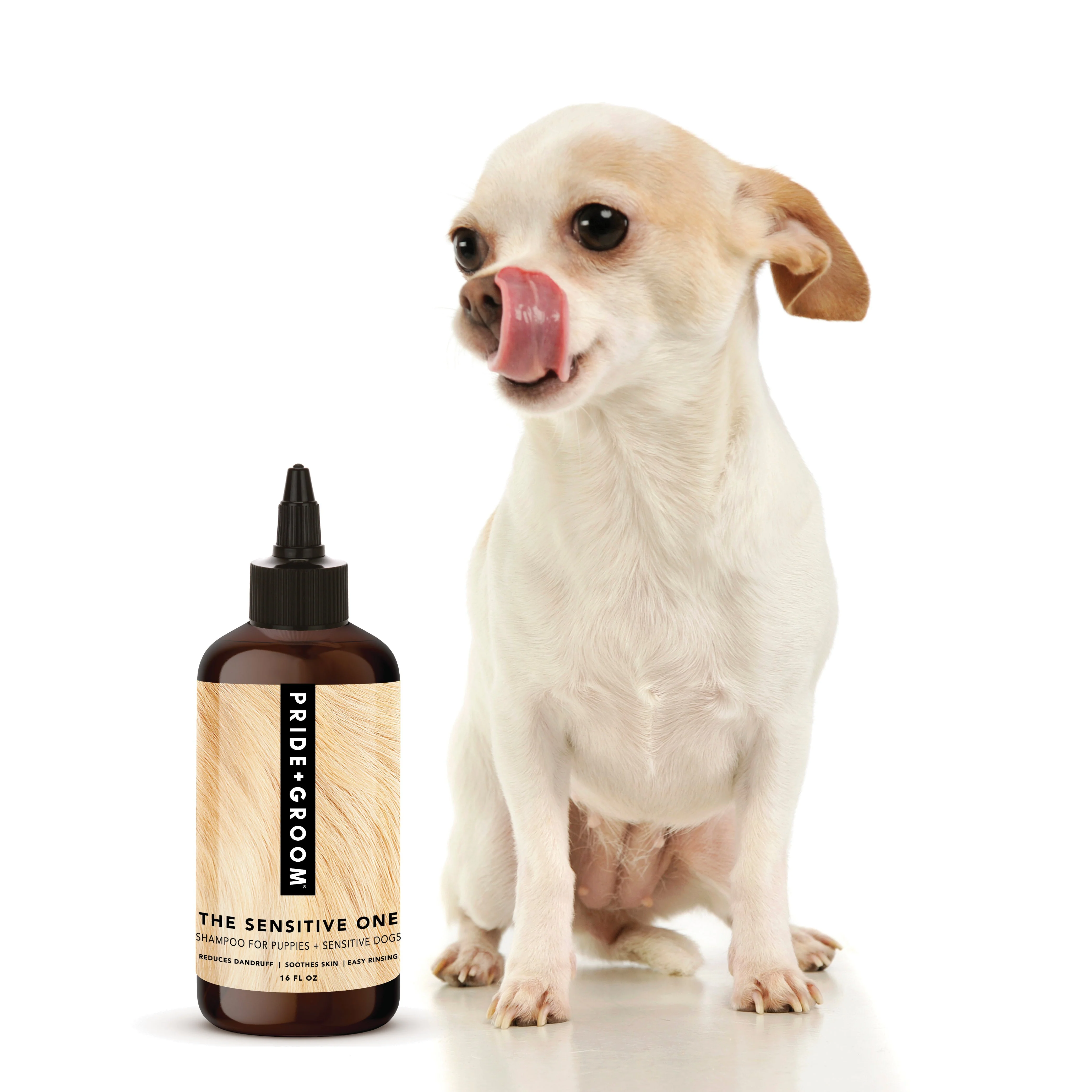 THE SENSITIVE ONE Hypoallergenic Dog & Puppy Shampoo — With Hemp Oil, Aloe & Oatmeal for Sensitive Skin - Image 4