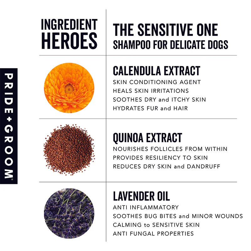 THE SENSITIVE ONE Hypoallergenic Dog & Puppy Shampoo — With Hemp Oil, Aloe & Oatmeal for Sensitive Skin - Image 5