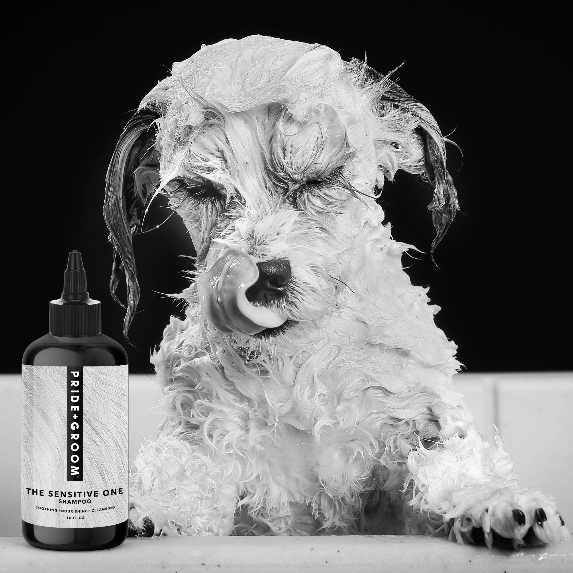 THE SENSITIVE ONE Hypoallergenic Dog & Puppy Shampoo — With Hemp Oil, Aloe & Oatmeal for Sensitive Skin - Image 6