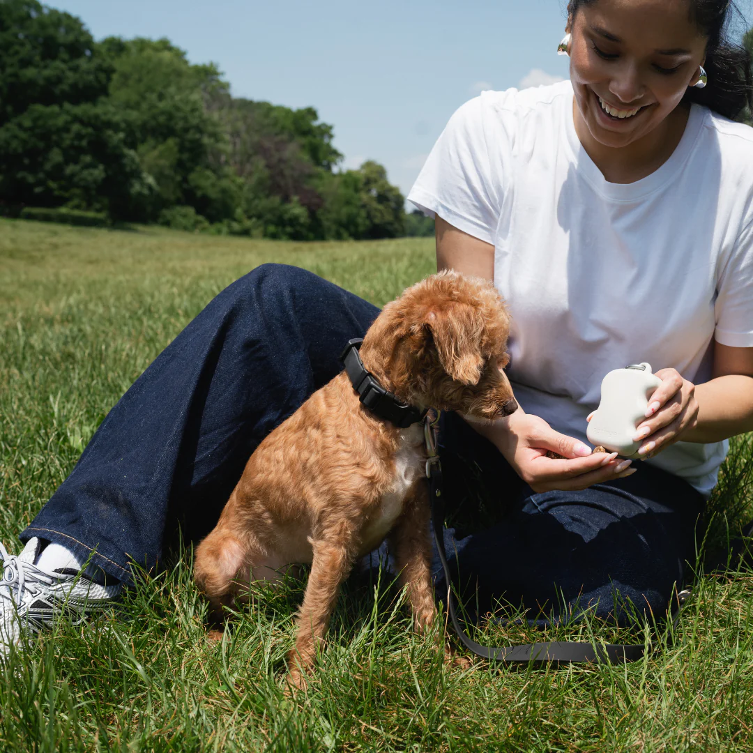 The Silicone Dog Treat Dispenser - Image 11