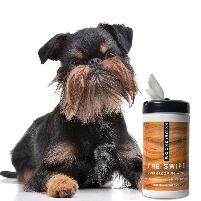 THE SWIPE Wet Pet Wipes — Alcohol-Free, Hypoallergenic Cleansing Wipes for Dogs & Cats - Image 3