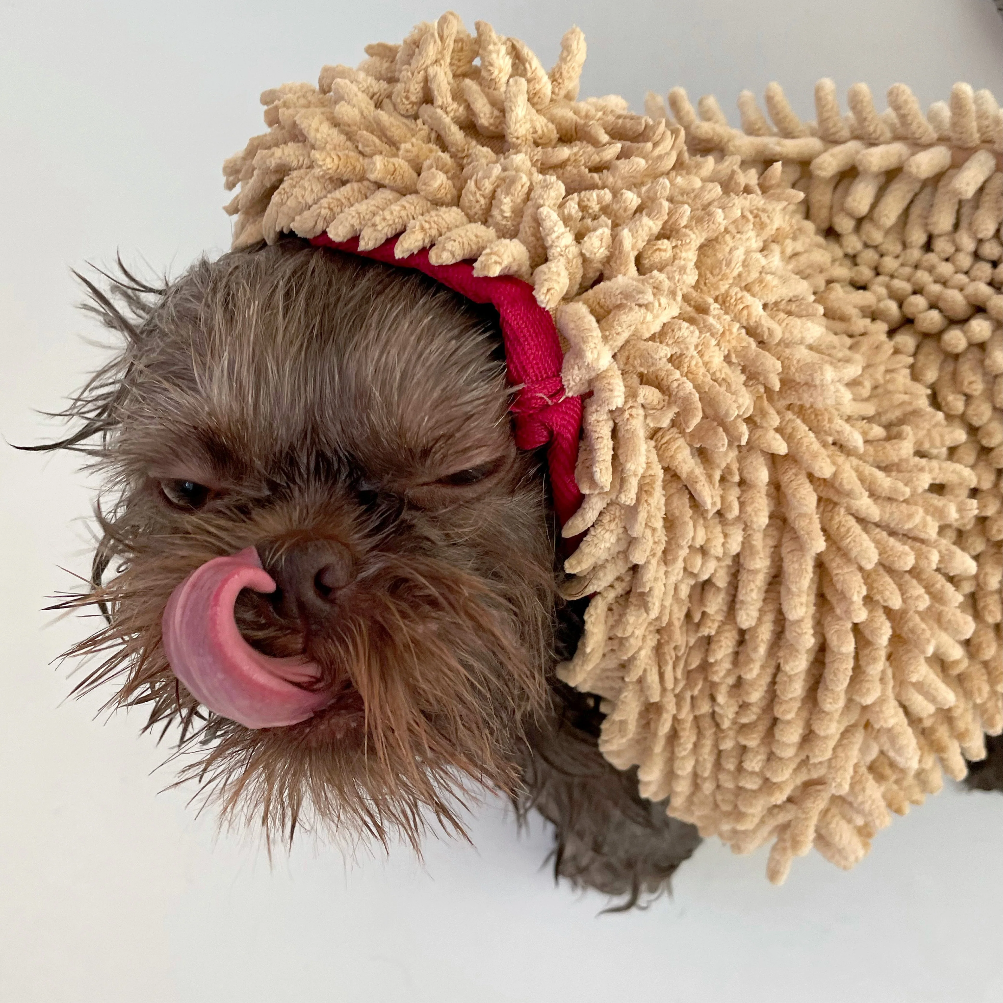 THE TOWEL Microfiber Dog & Cat Drying Towel — Hand Pockets, Odor-Resistant & 7× Water Absorbent - Image 4