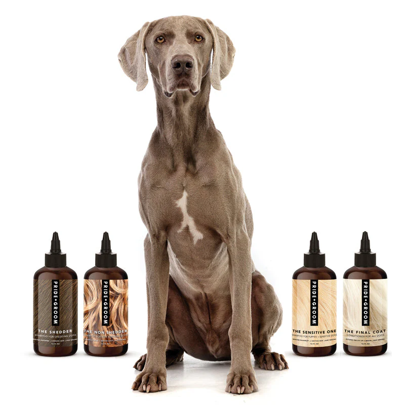 THE WASH SAMPLE PACK — Try PRIDE+GROOM's Best-Selling Dog Shampoos & Conditioner - Image 2
