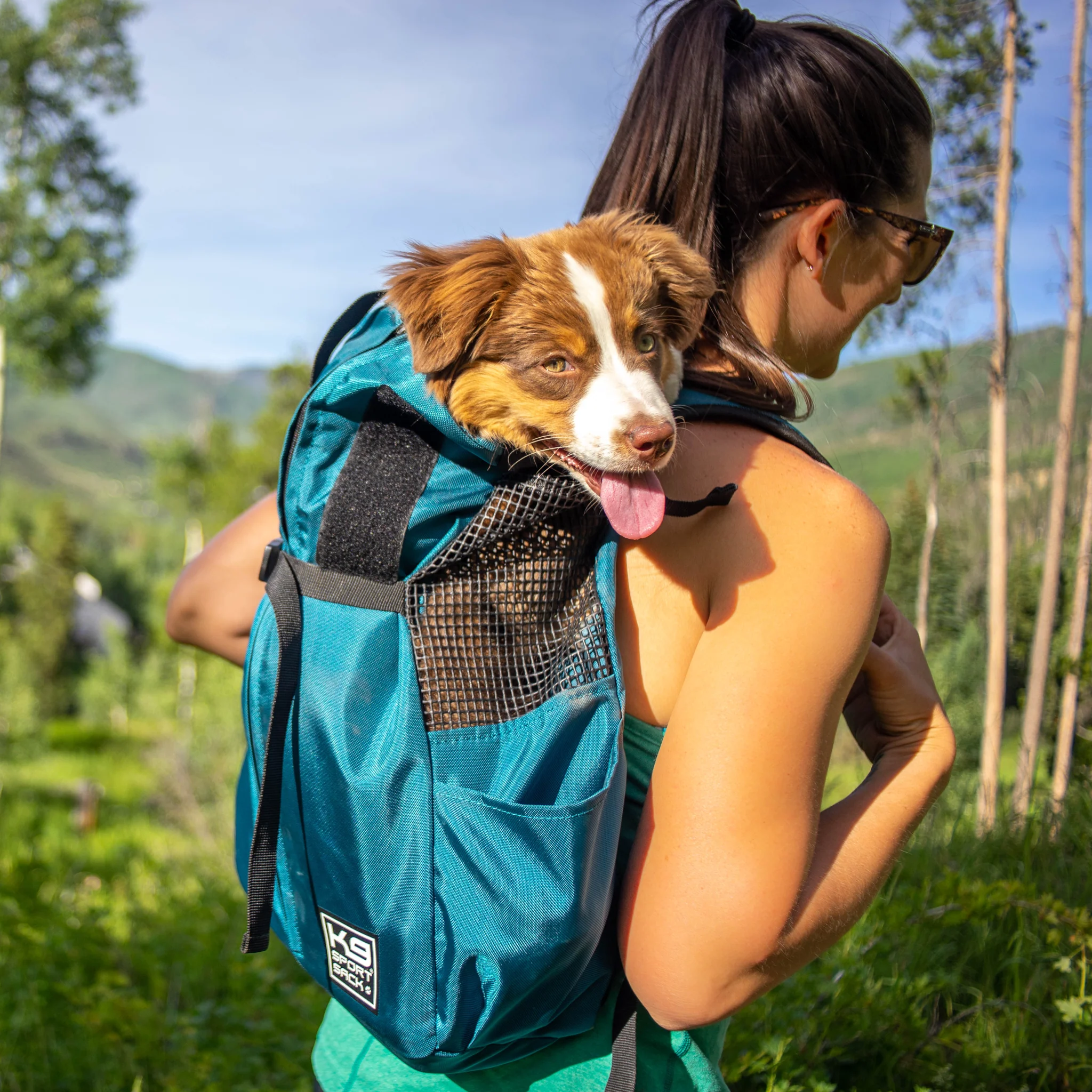 K9 Sportsack Trainer | Puppy & Small Dog Carrier - Image 14