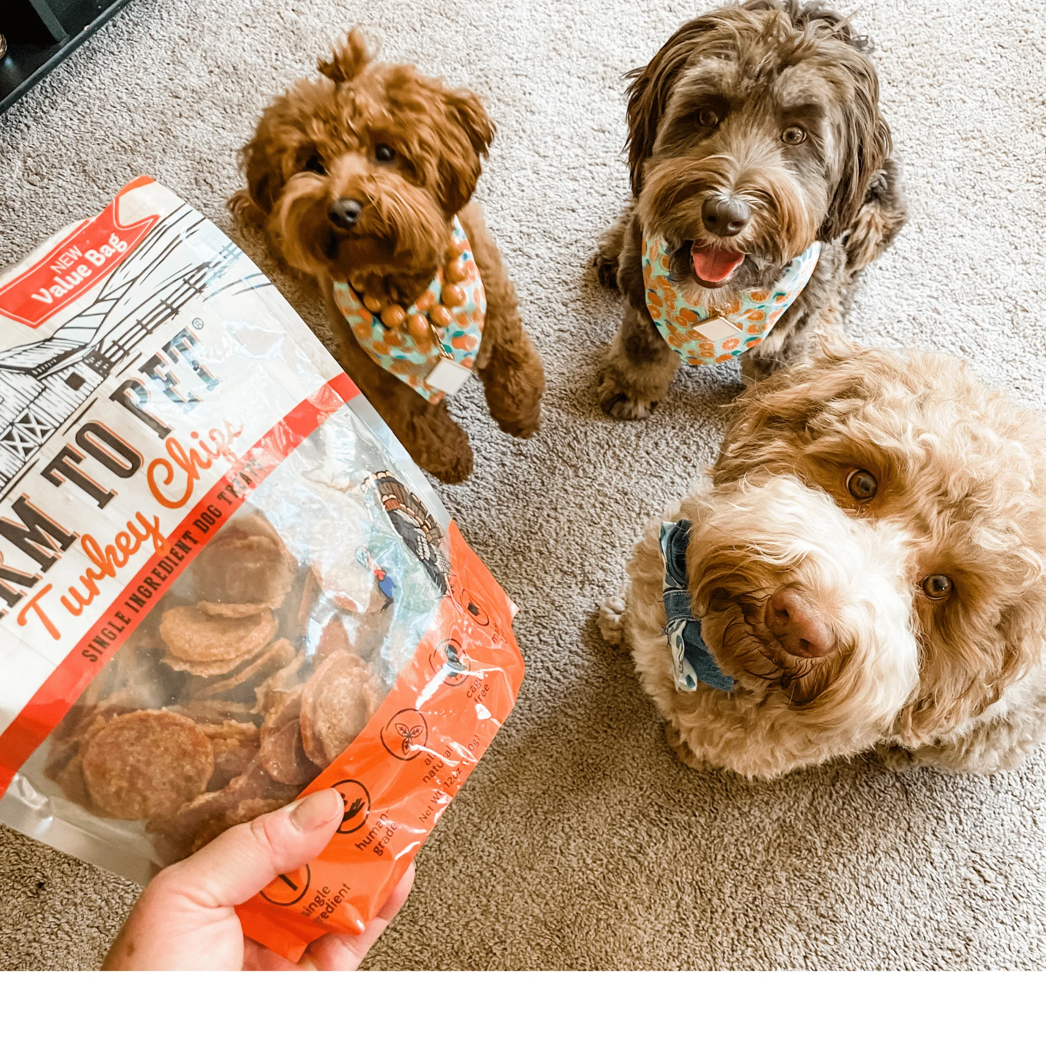 Turkey Chips for Dogs - Image 8