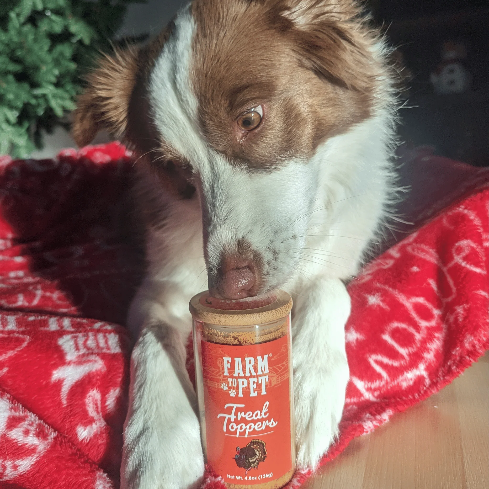 Turkey Treat Dog Food Topper - Image 6