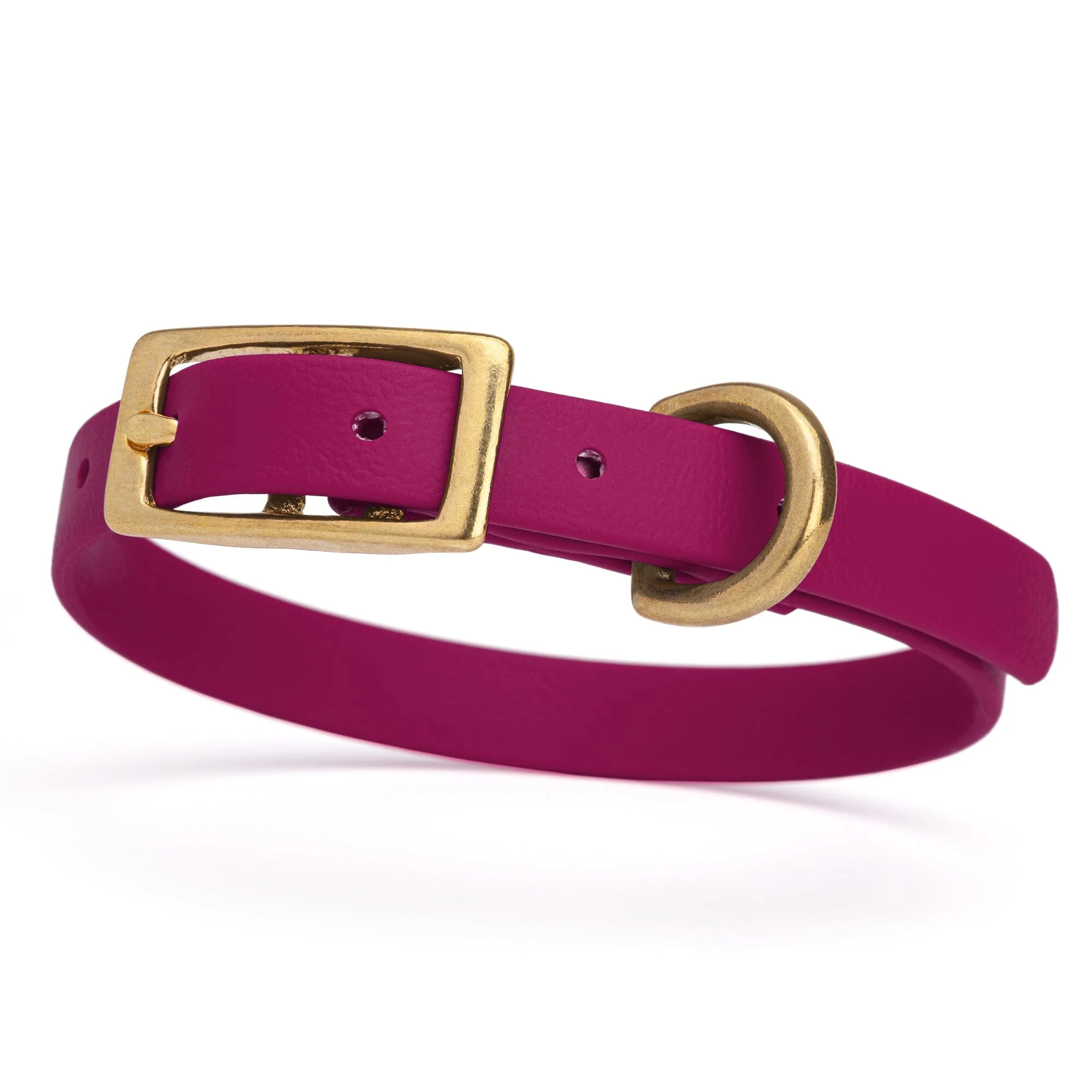 Viper Biothane Waterproof Dog Collar with Brass Hardware - Image 28