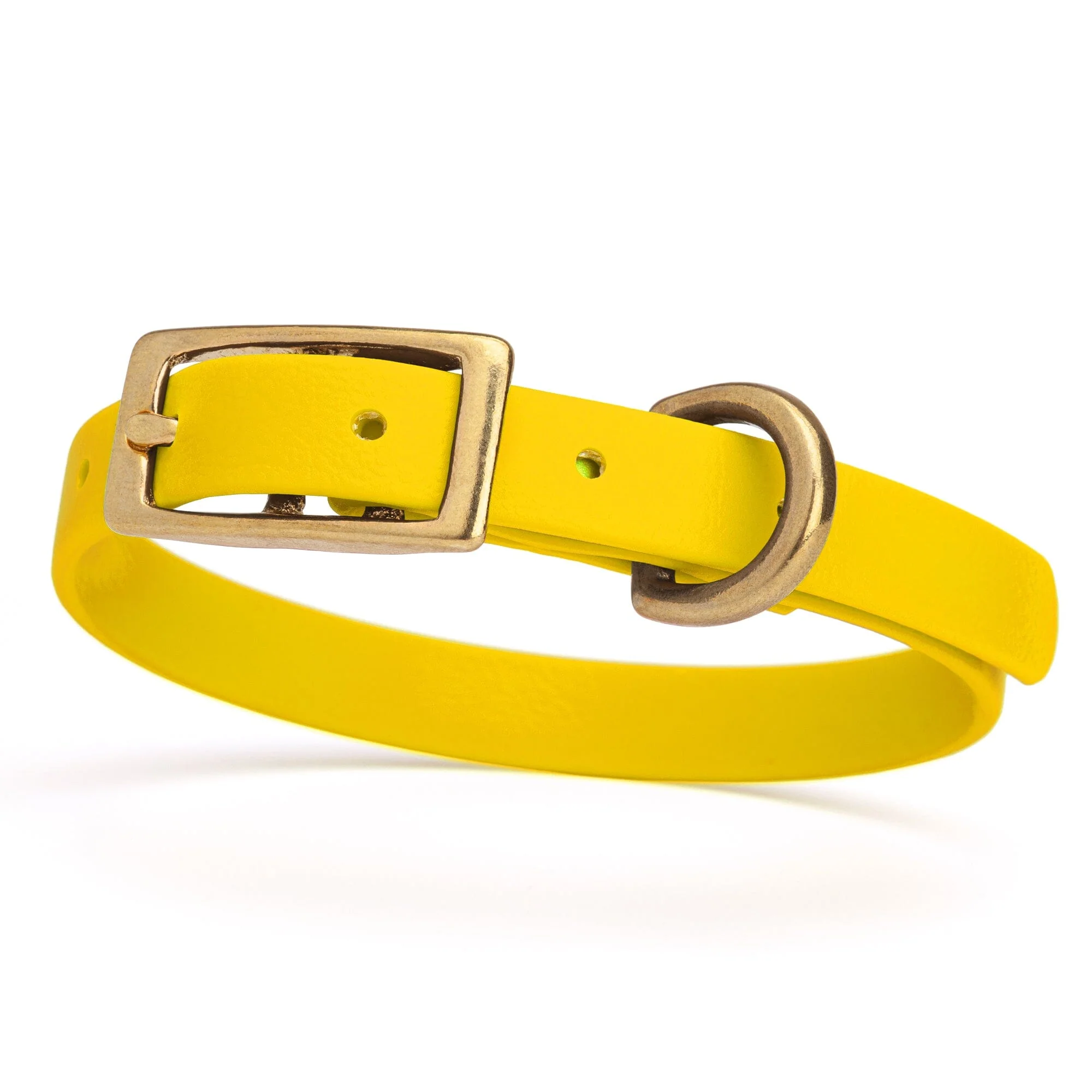 Viper Biothane Waterproof Dog Collar with Brass Hardware - Image 30