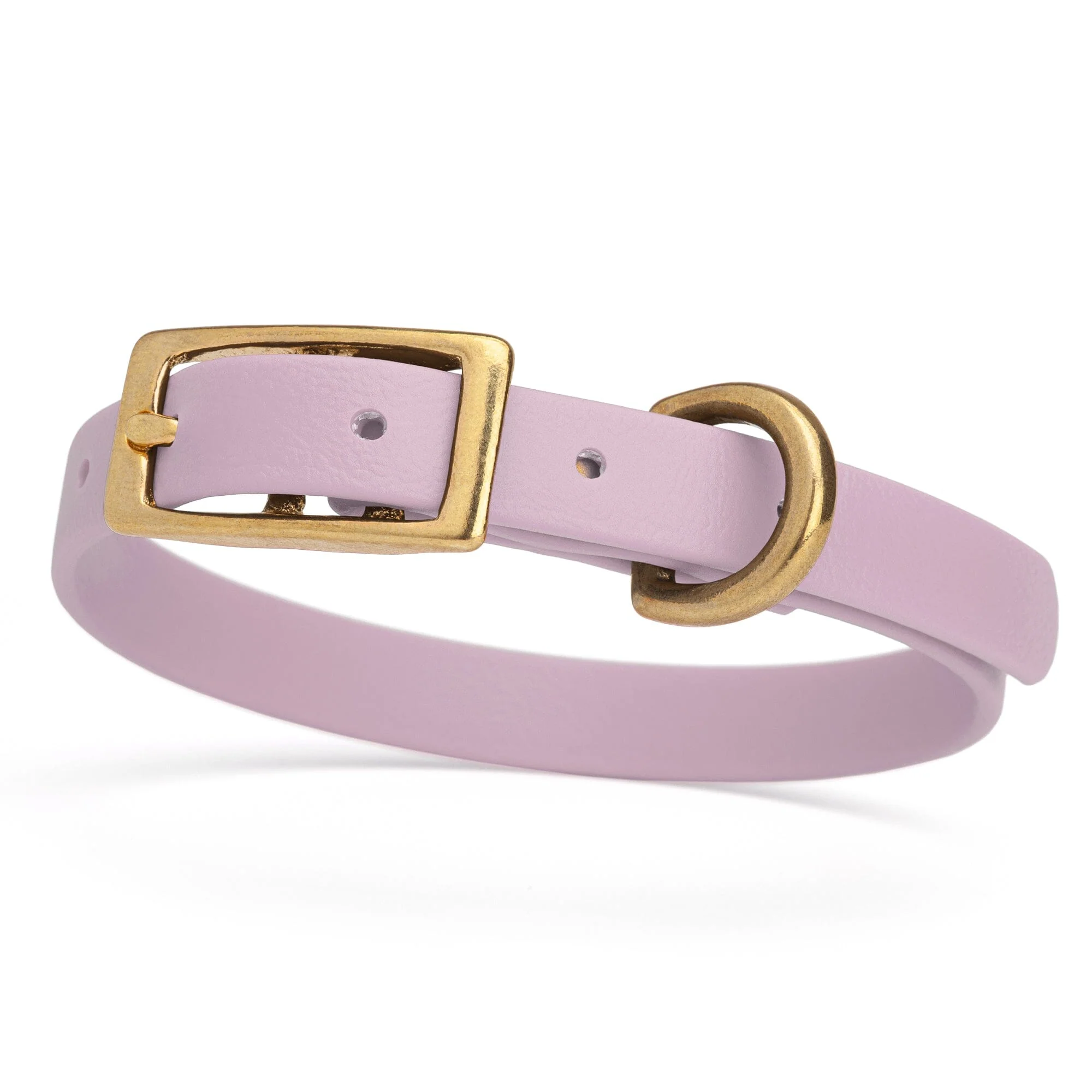 Viper Biothane Waterproof Dog Collar with Brass Hardware - Image 33