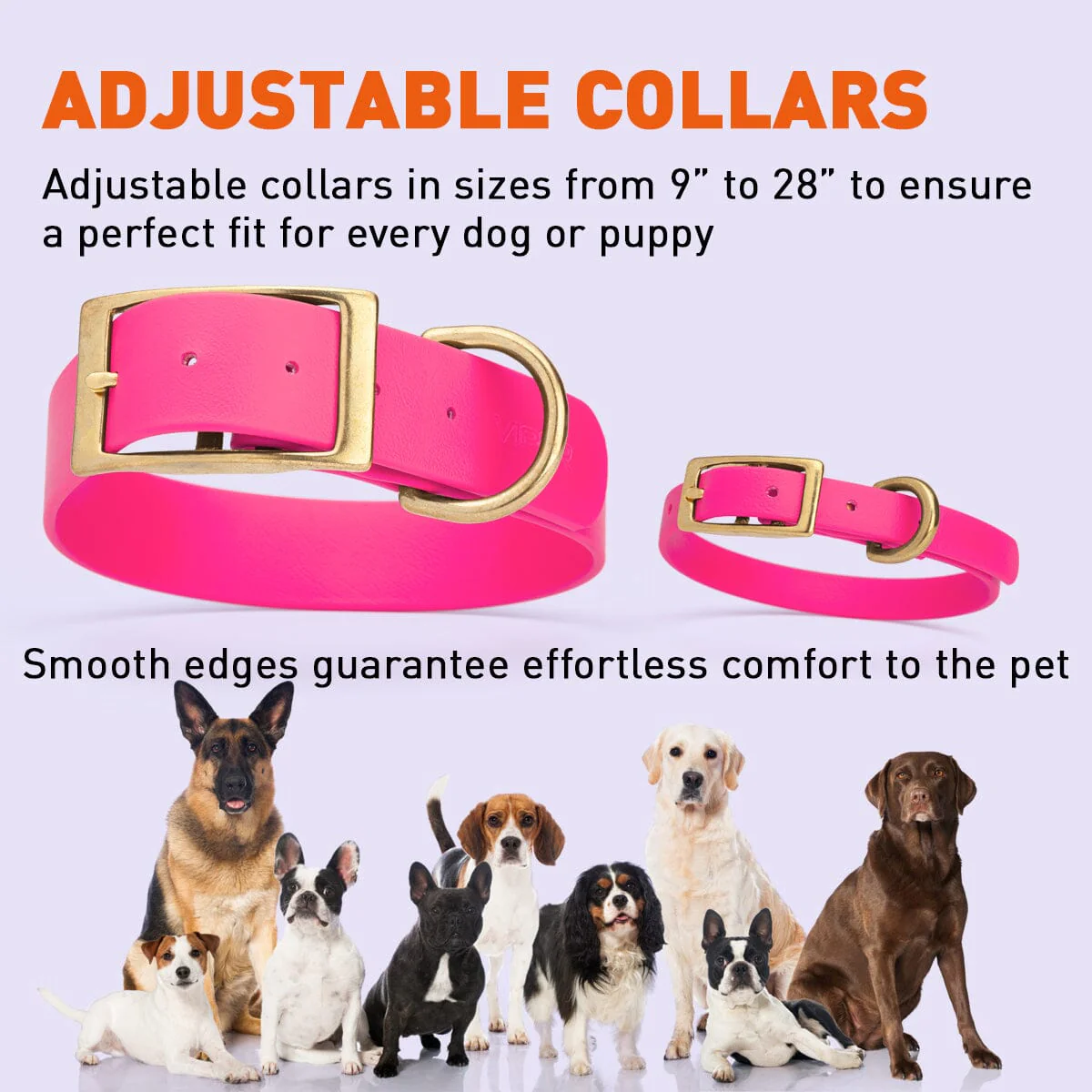 Viper Biothane Waterproof Dog Collar with Brass Hardware - Image 6