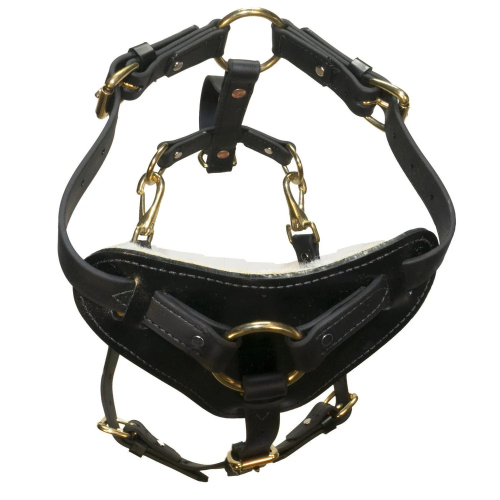 Viper Surge Biothane Working Dog Harness - Brass Hardware - Image 3