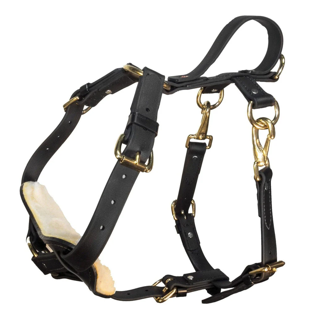 Viper Surge Biothane Working Dog Harness - Brass Hardware - Image 4