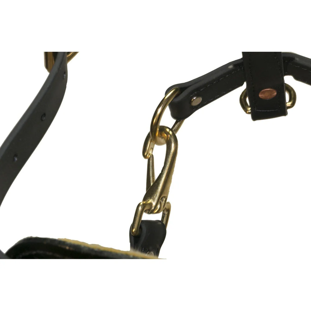 Viper Surge Biothane Working Dog Harness - Brass Hardware - Image 5