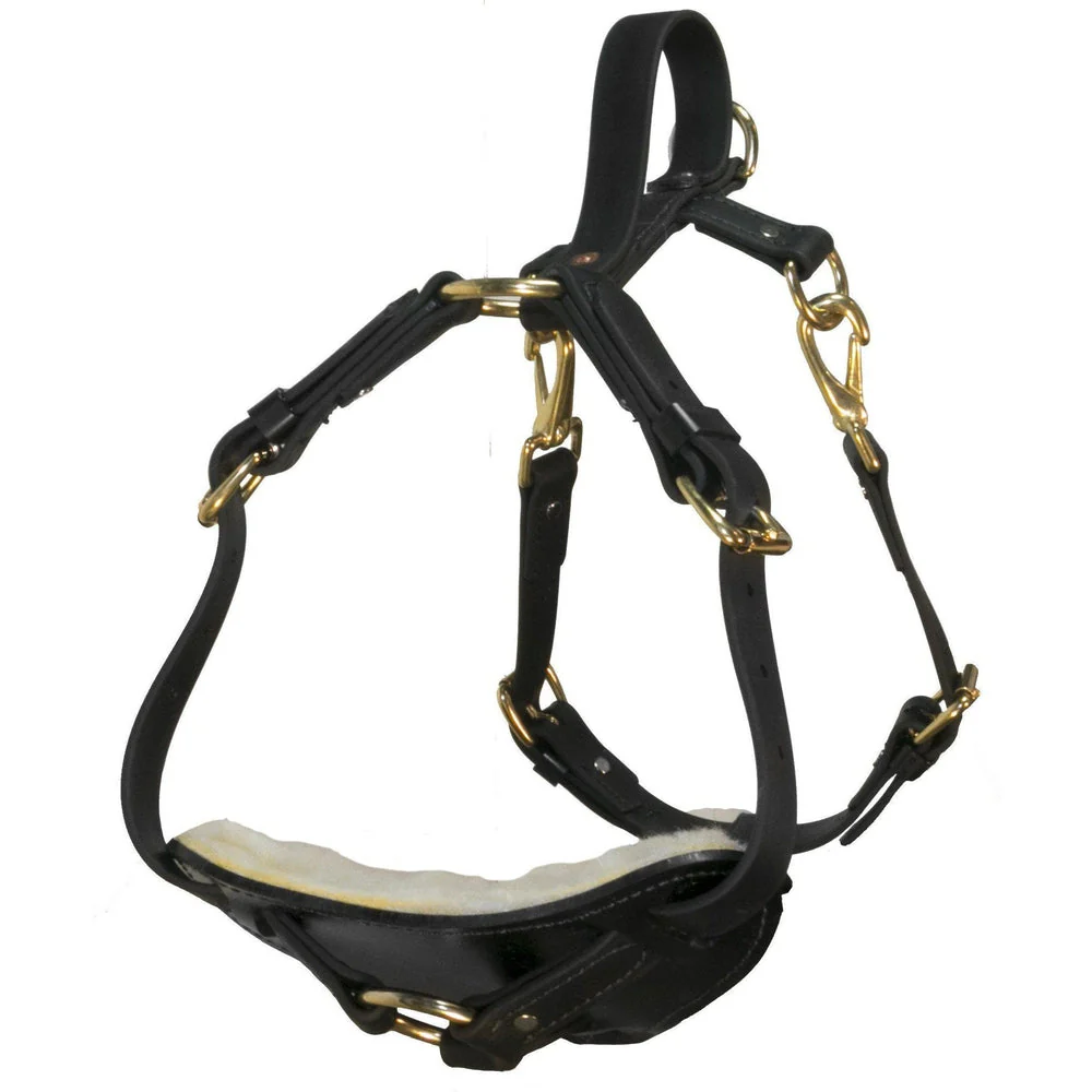 Viper Surge Biothane Working Dog Harness - Brass Hardware - Image 6