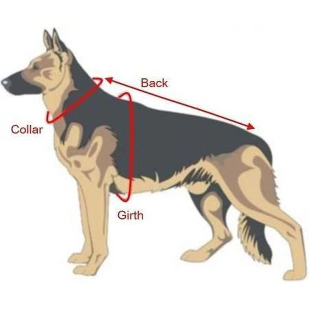 Viper Surge Biothane Working Dog Harness - Brass Hardware - Image 7
