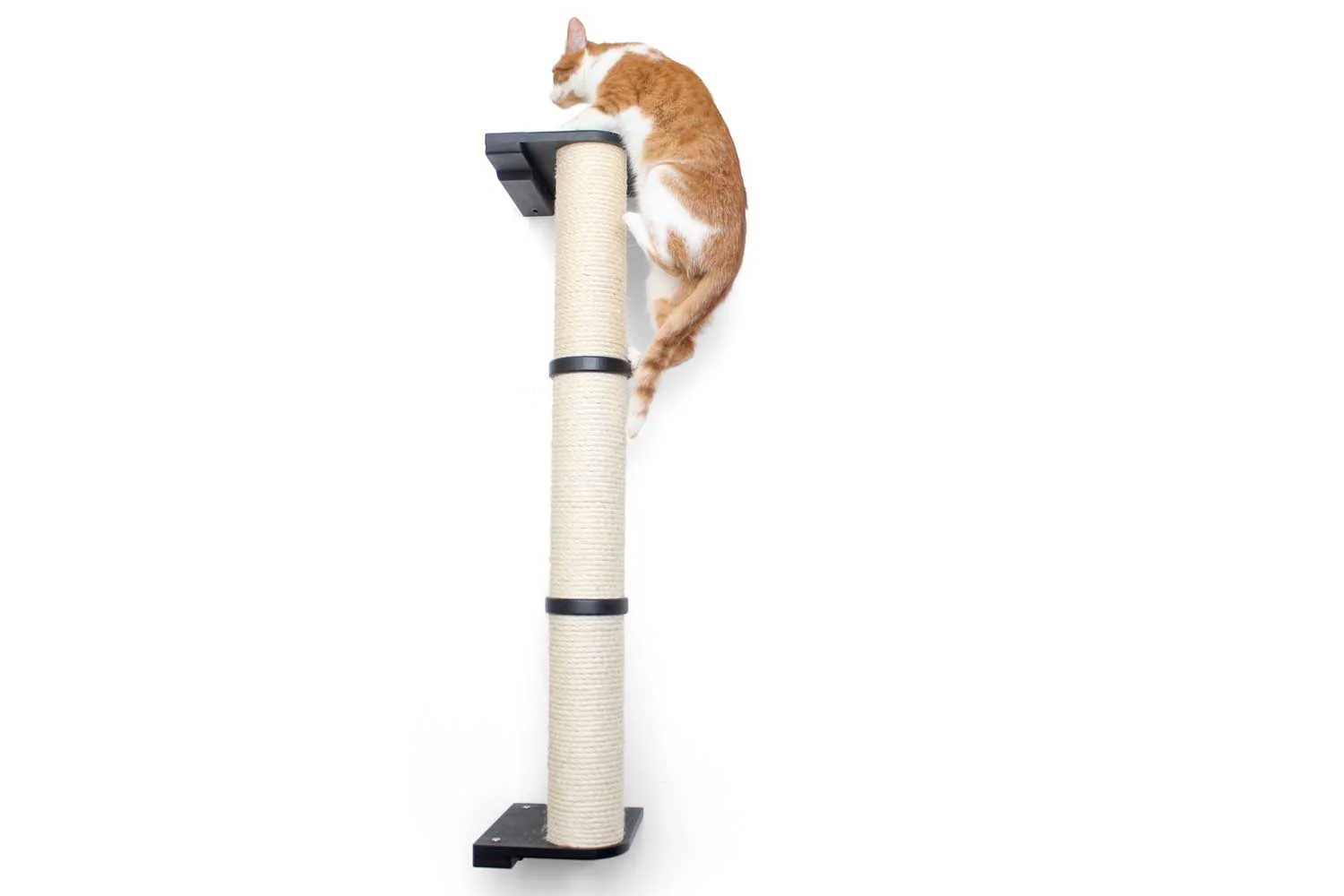 Catastrophic Creations Wall Mounted Cat Climbing Pole - Sisal - Image 11
