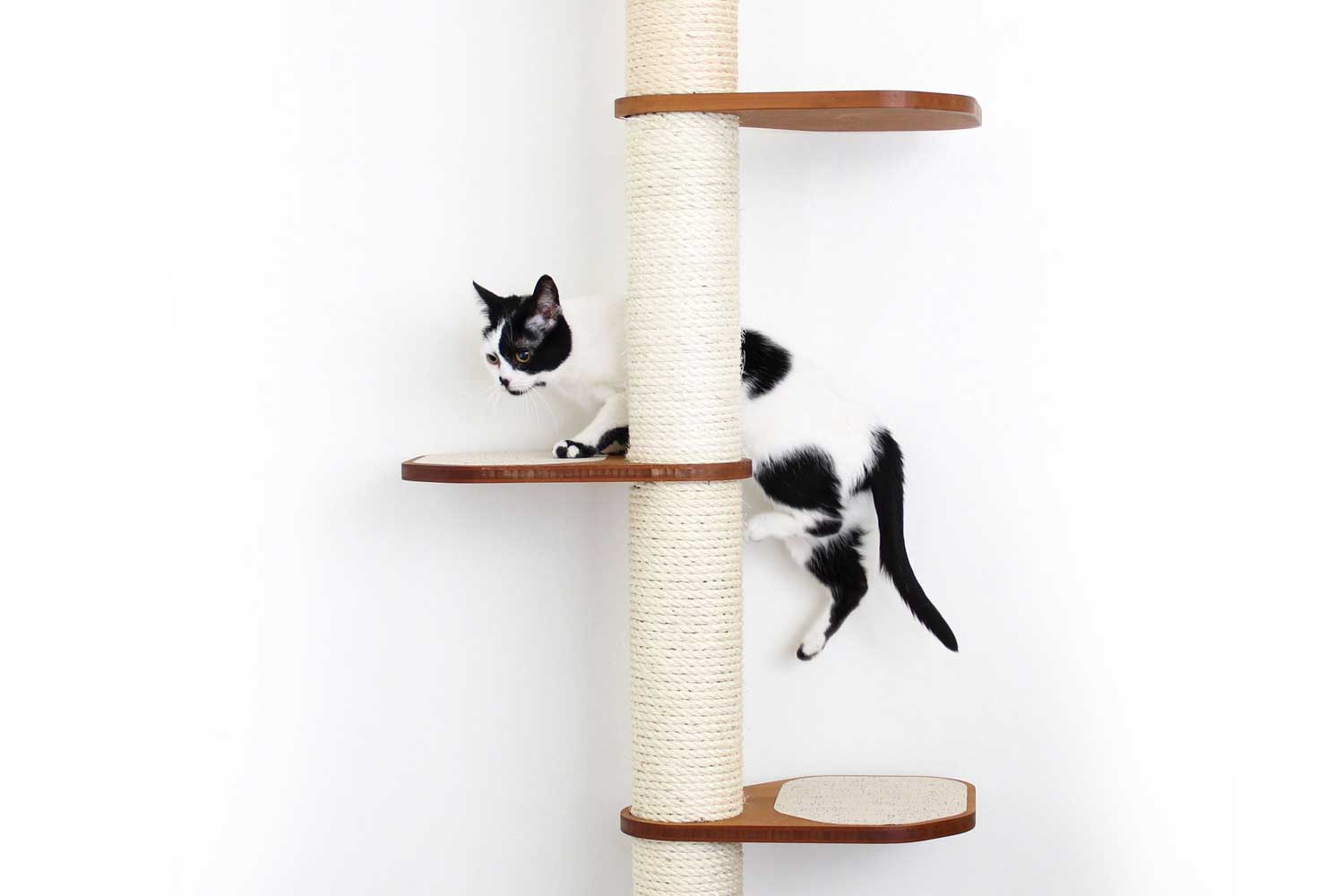 Catastrophic Creations Wall Mounted Cat Climbing Pole - Sisal - Image 13