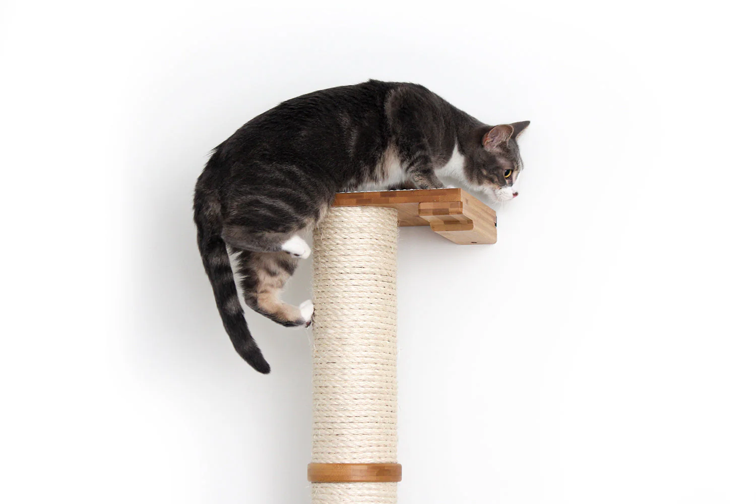 Catastrophic Creations Wall Mounted Cat Climbing Pole - Sisal - Image 4