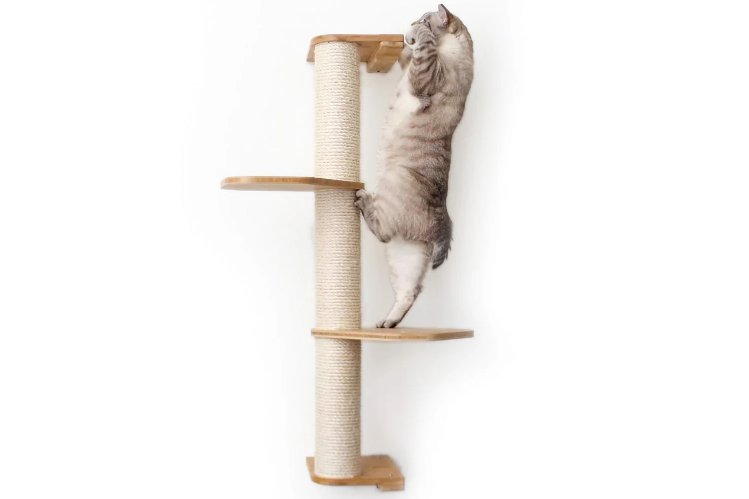 Catastrophic Creations Wall Mounted Cat Climbing Pole - Sisal - Image 9