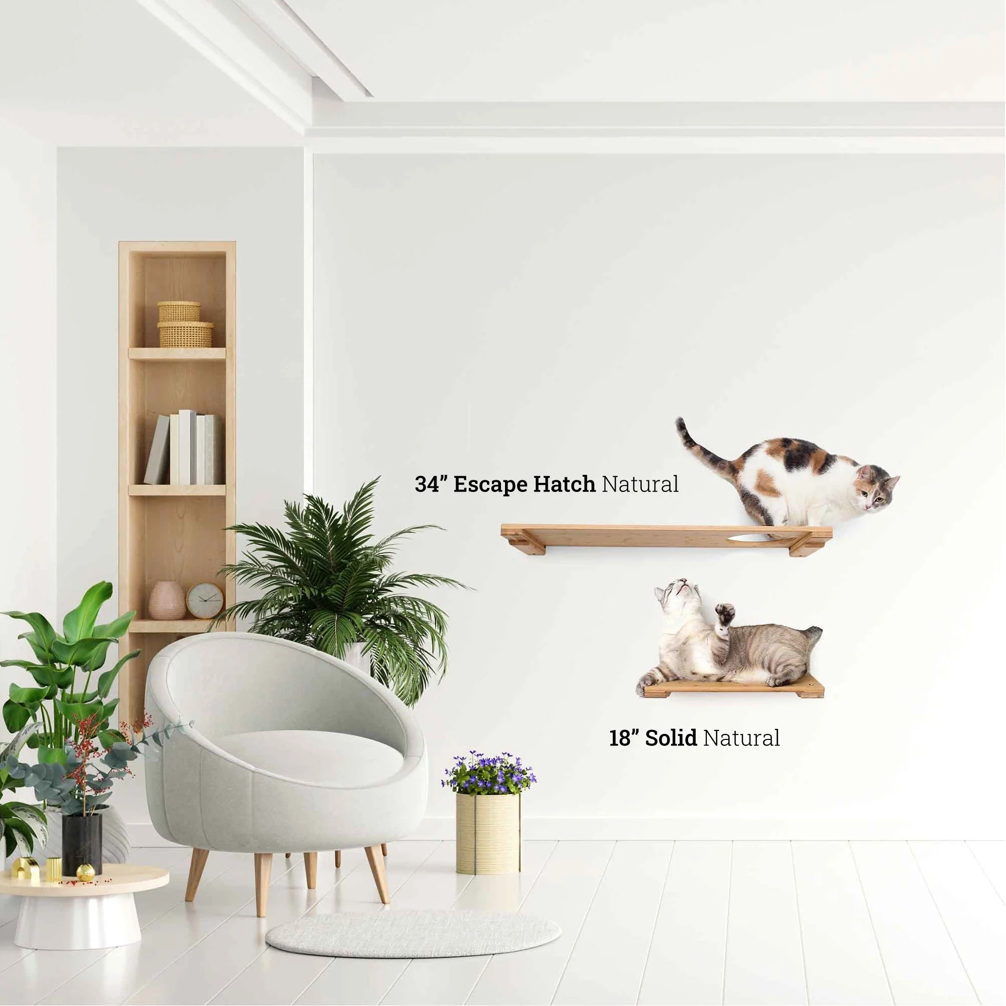Catastrophic Creations Wall Mounted Cat Shelf - Image 9