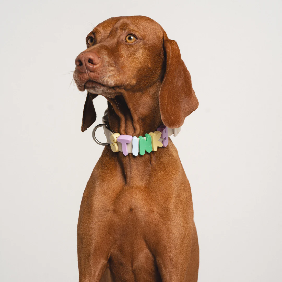 Waterproof Dog Collar - Image 11