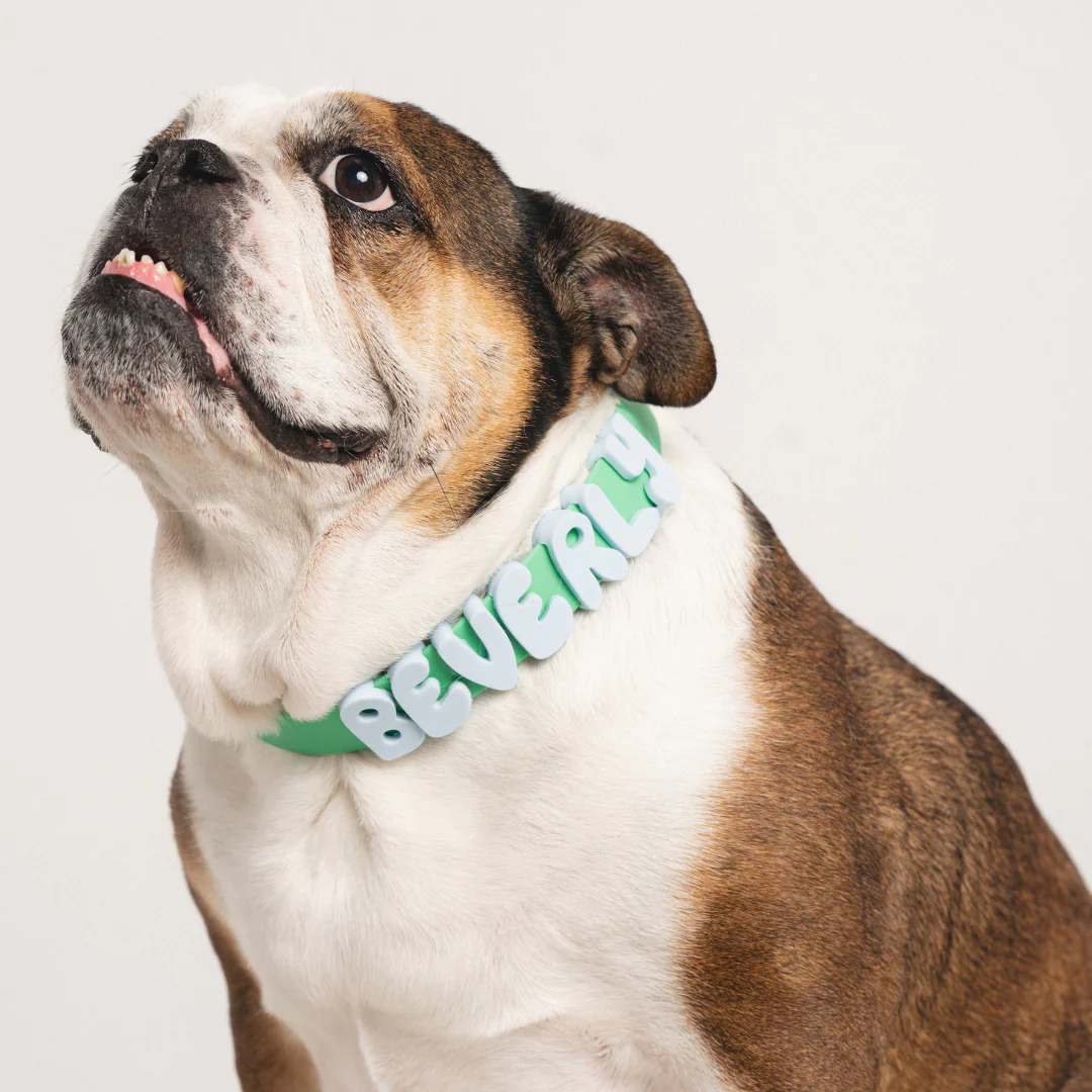 Waterproof Dog Collar - Image 17