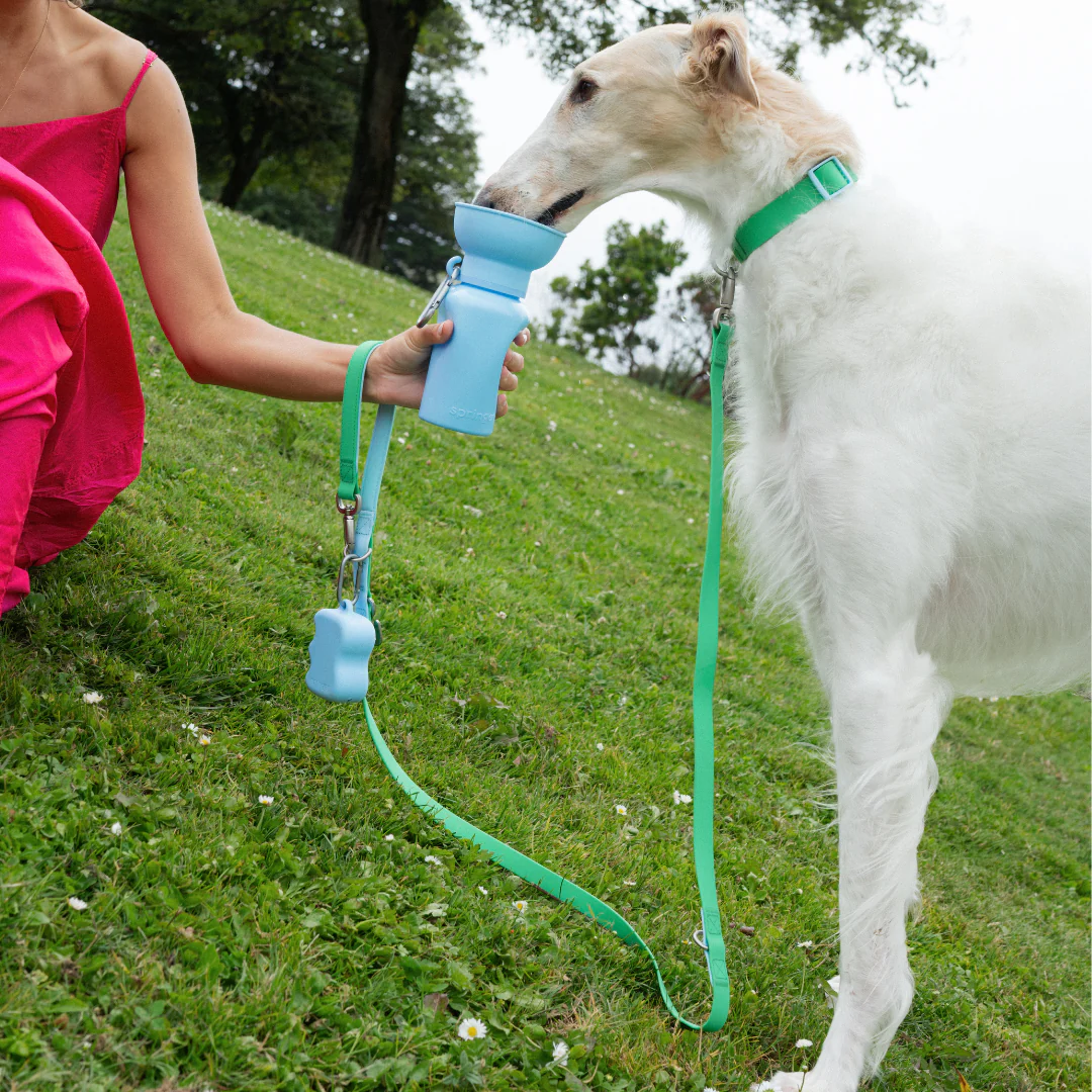 Waterproof Dog Collar - Image 20